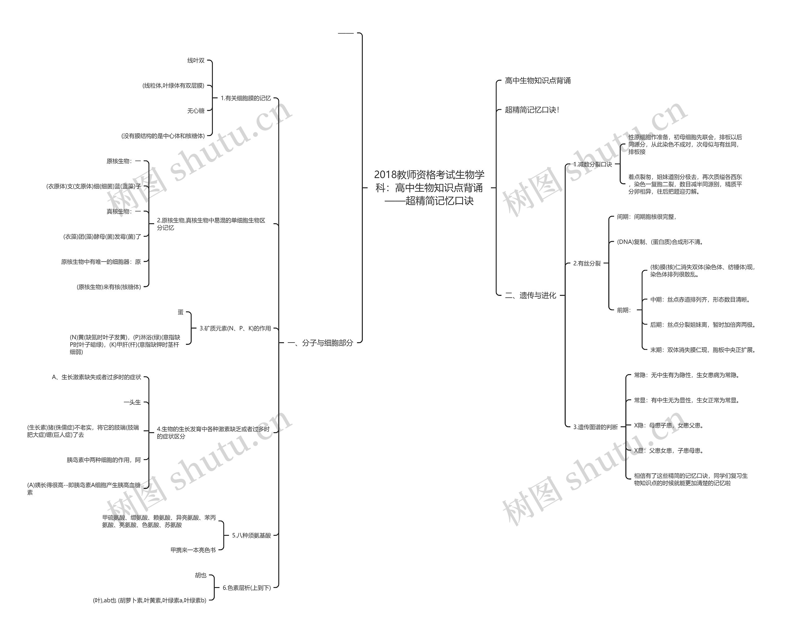 2018教师资格考试生物学科：高中生物知识点背诵——超精简记忆口诀思维导图