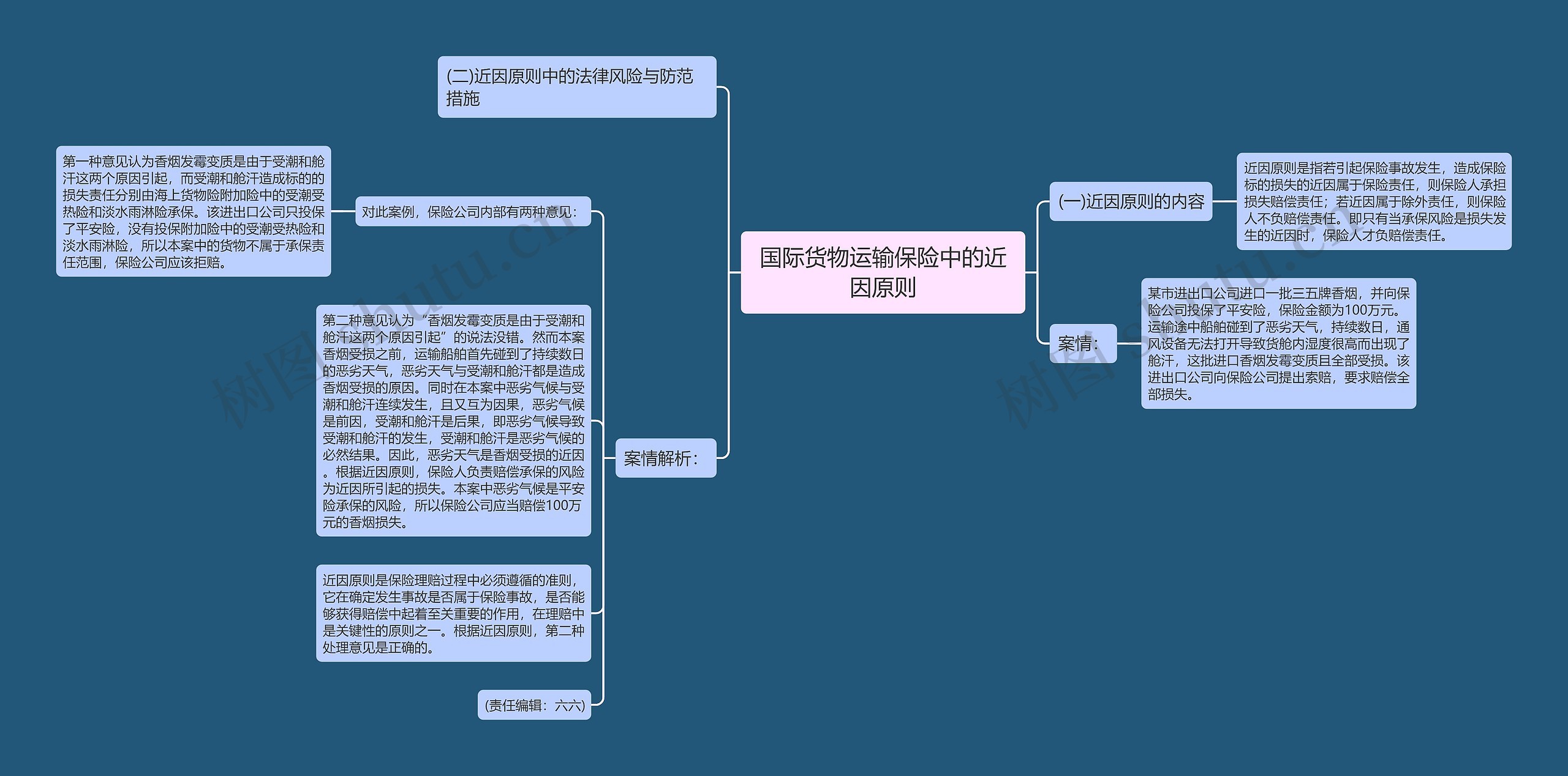 国际货物运输保险中的近因原则思维导图