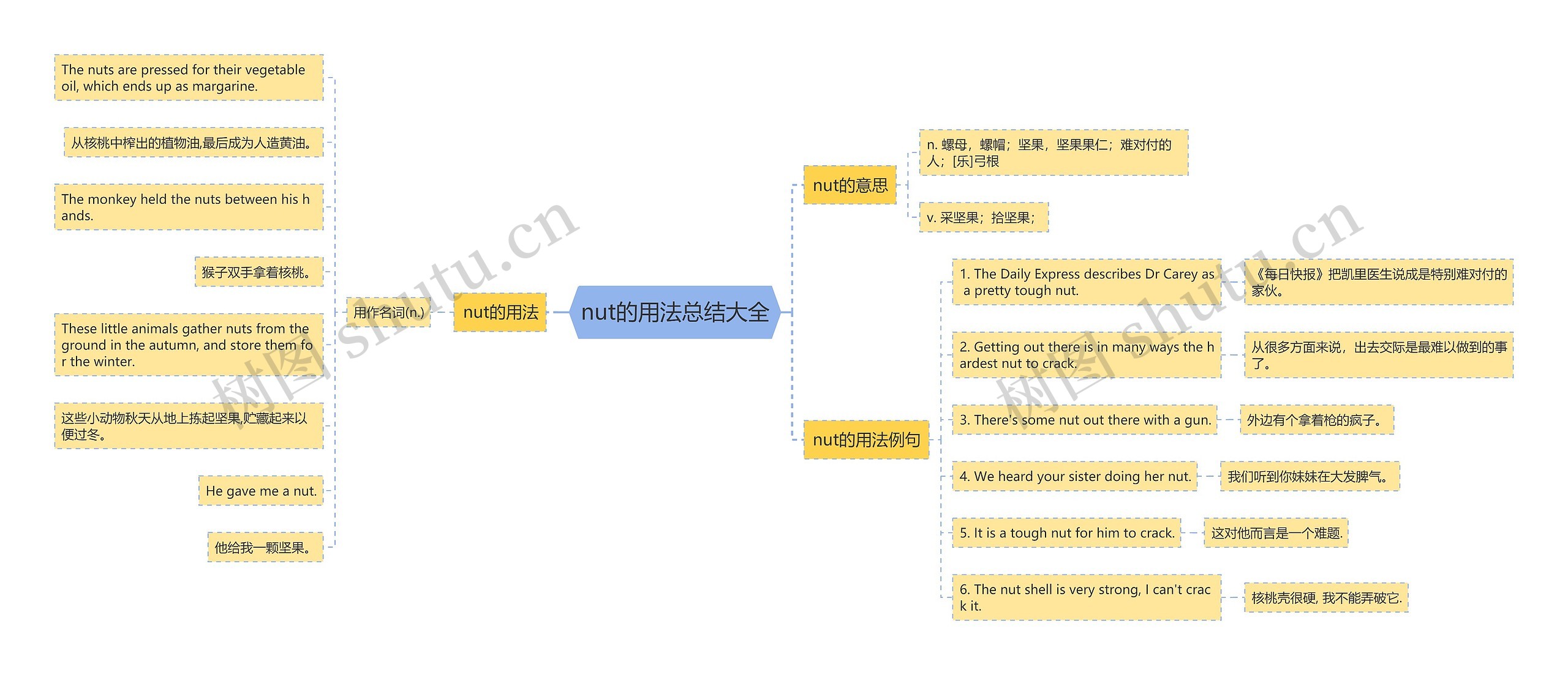 nut的用法总结大全思维导图