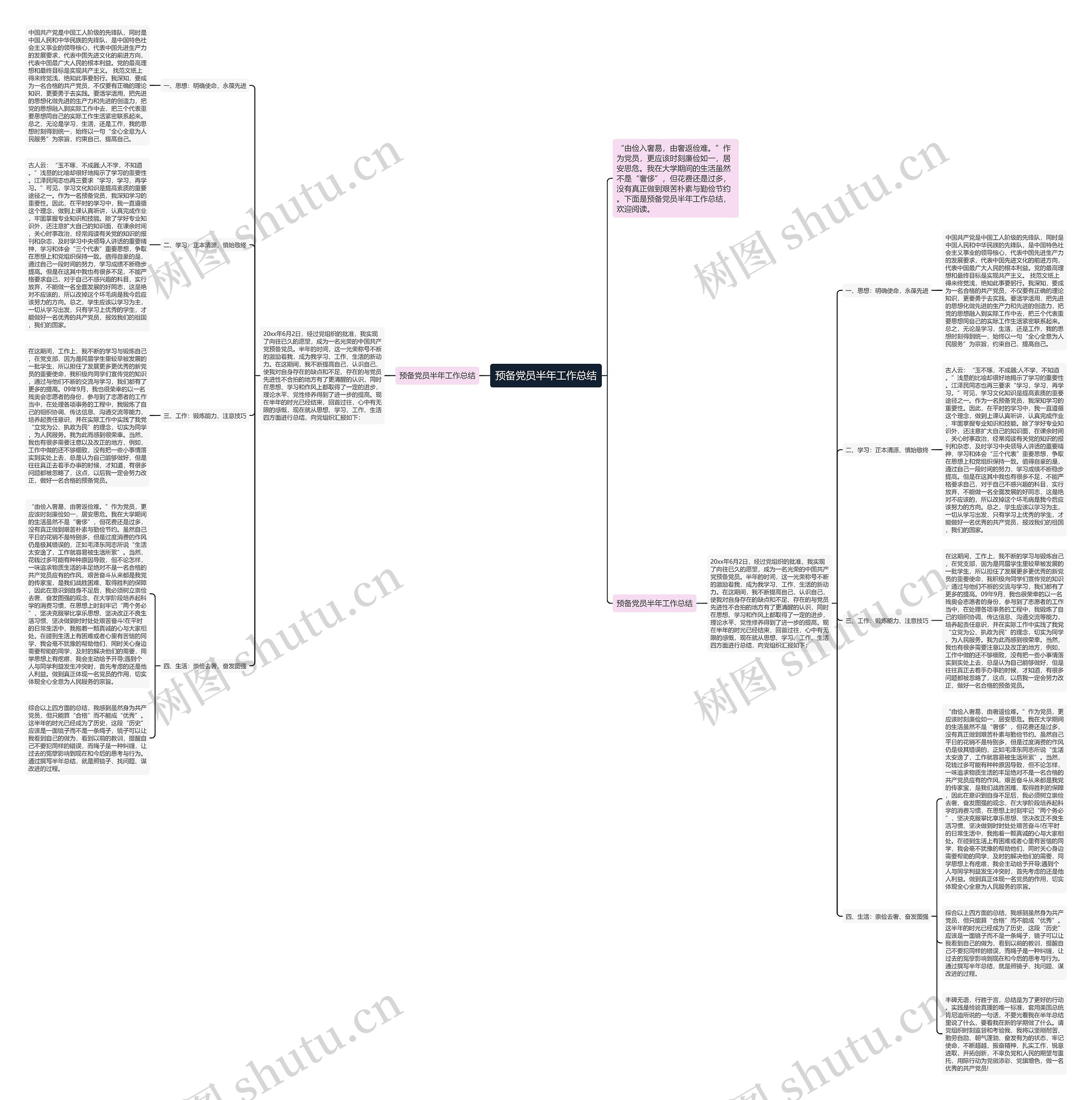 预备党员半年工作总结思维导图