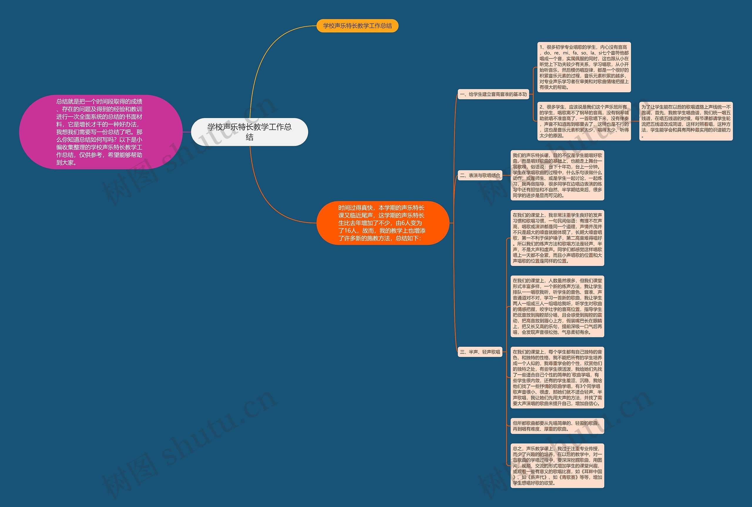 学校声乐特长教学工作总结思维导图