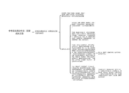 中考语文满分作文：回望成长之路