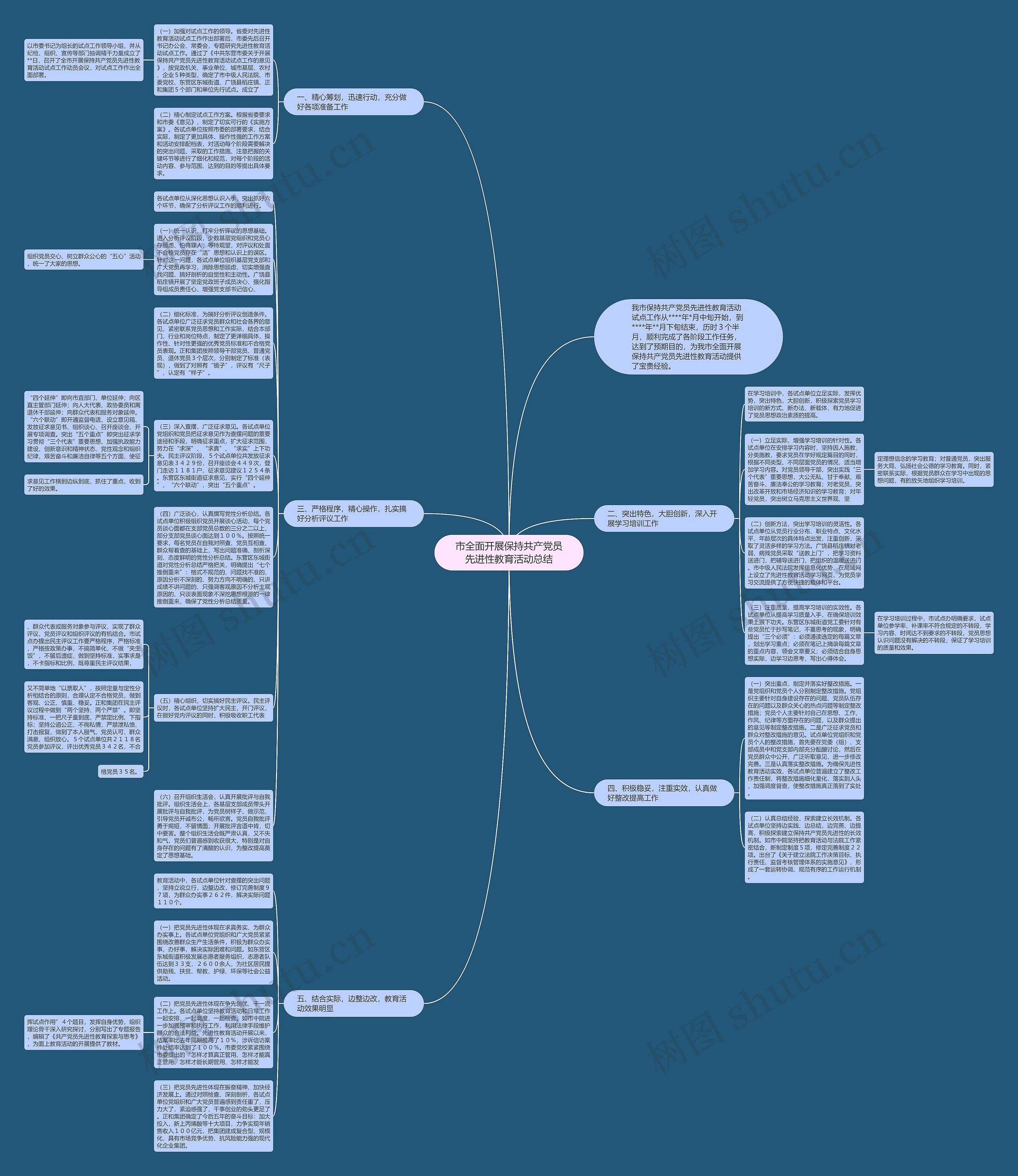 市全面开展保持共产党员先进性教育活动总结思维导图
