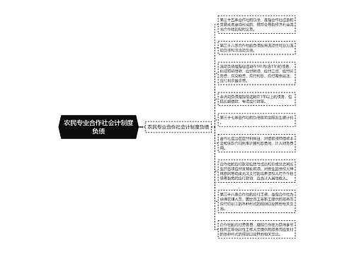 农民专业合作社会计制度负债