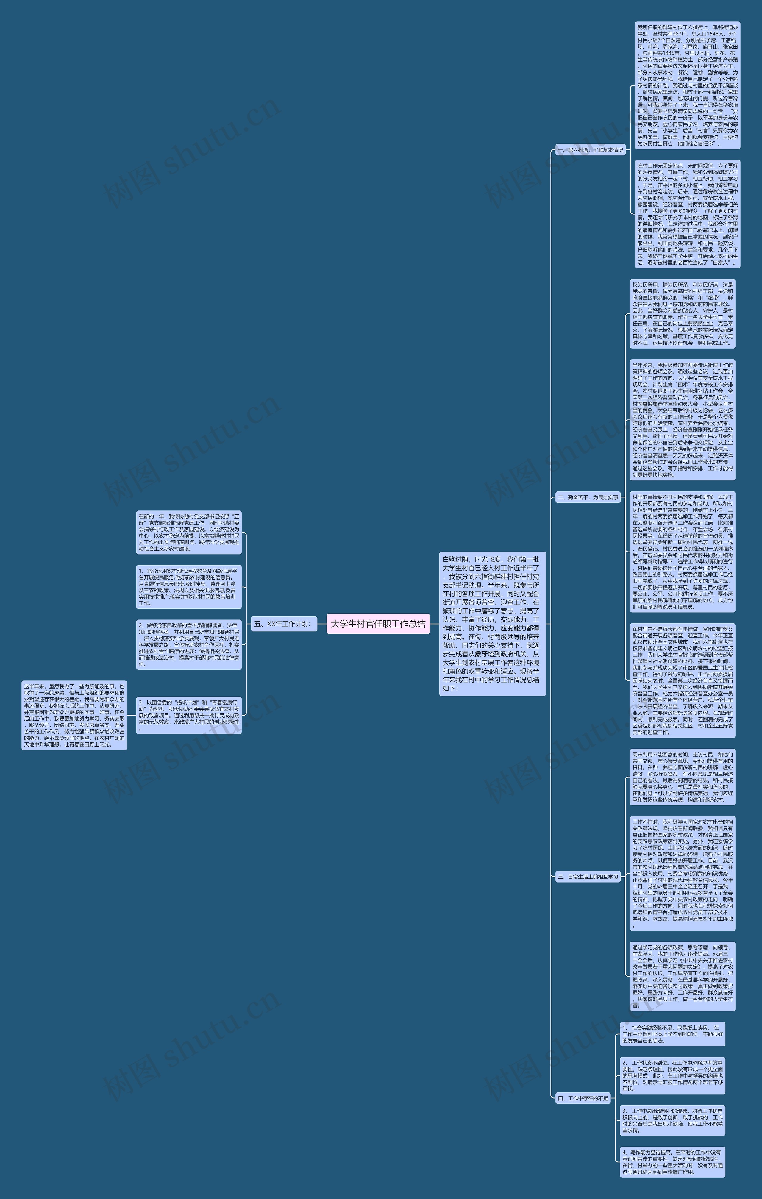 大学生村官任职工作总结思维导图