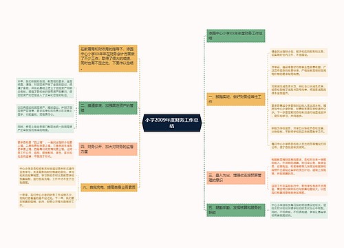 小学2009年度财务工作总结