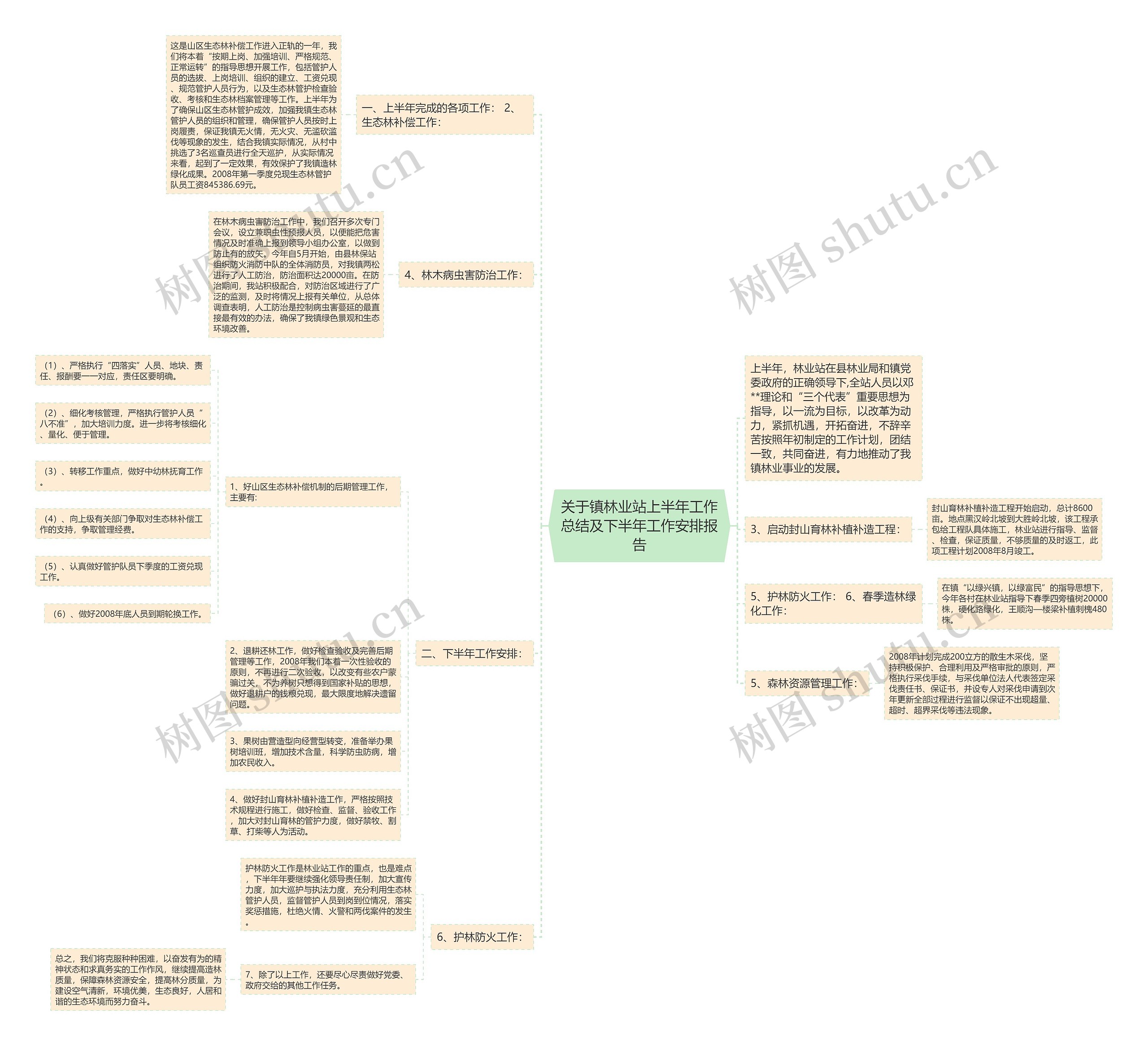 关于镇林业站上半年工作总结及下半年工作安排报告思维导图