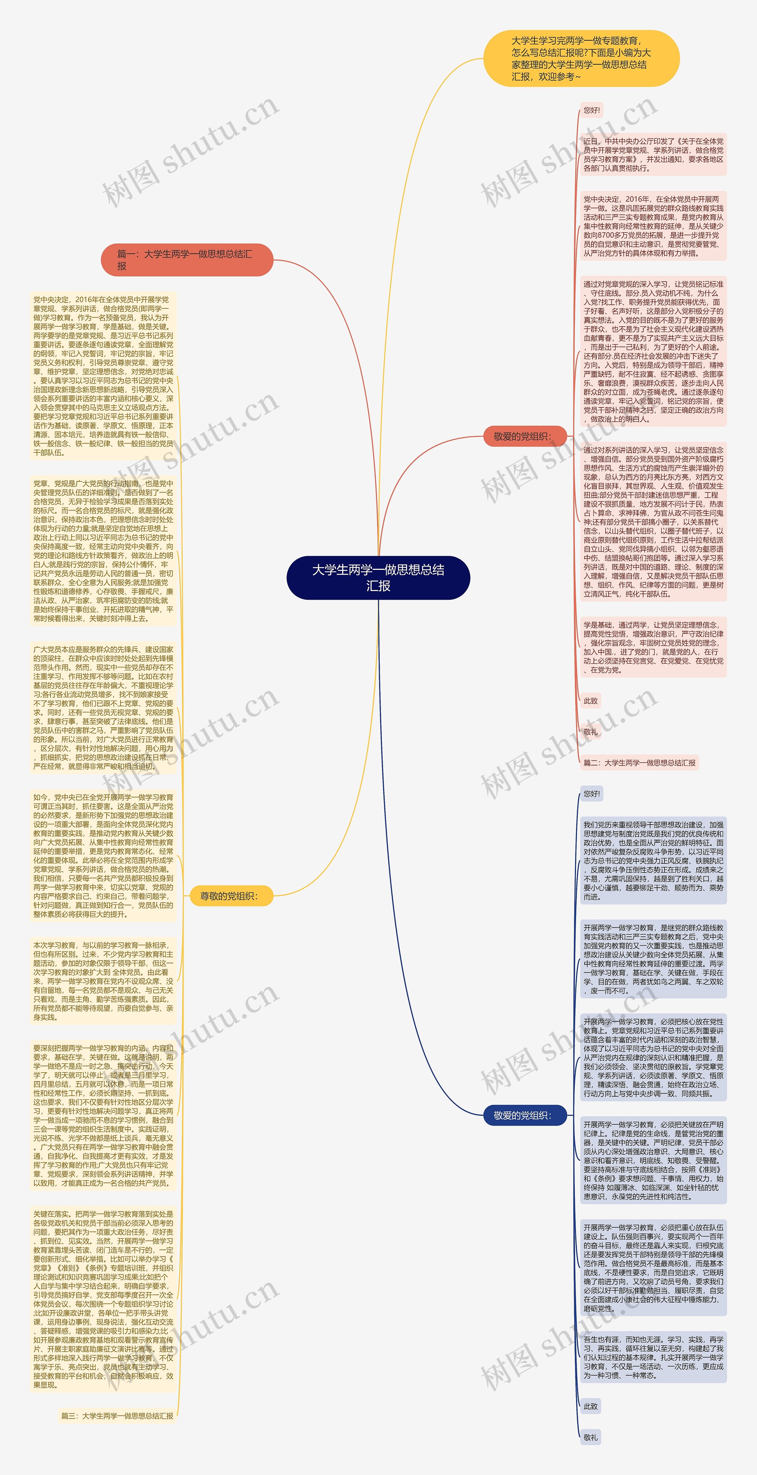 大学生两学一做思想总结汇报思维导图