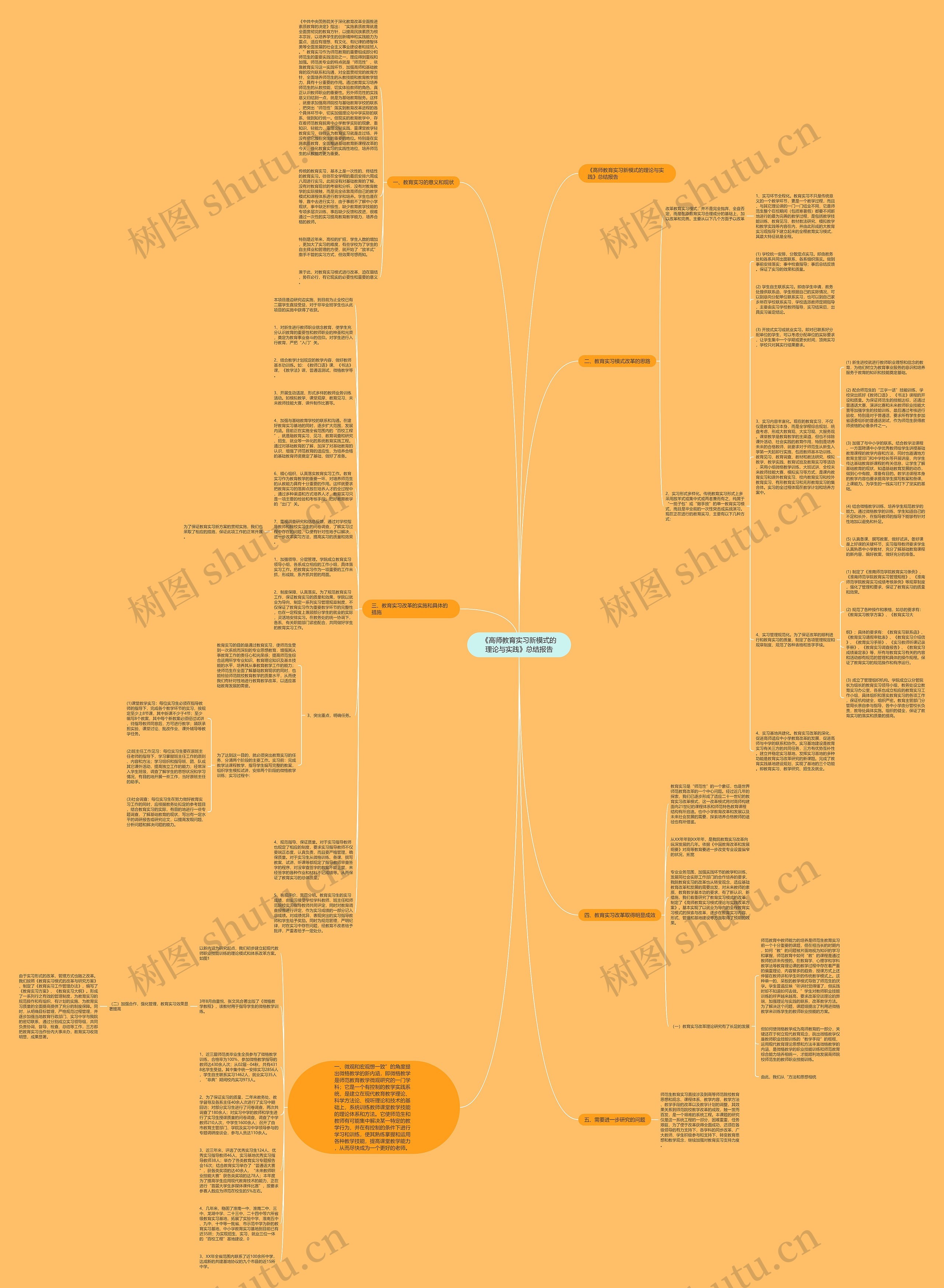 《高师教育实习新模式的理论与实践》总结报告思维导图