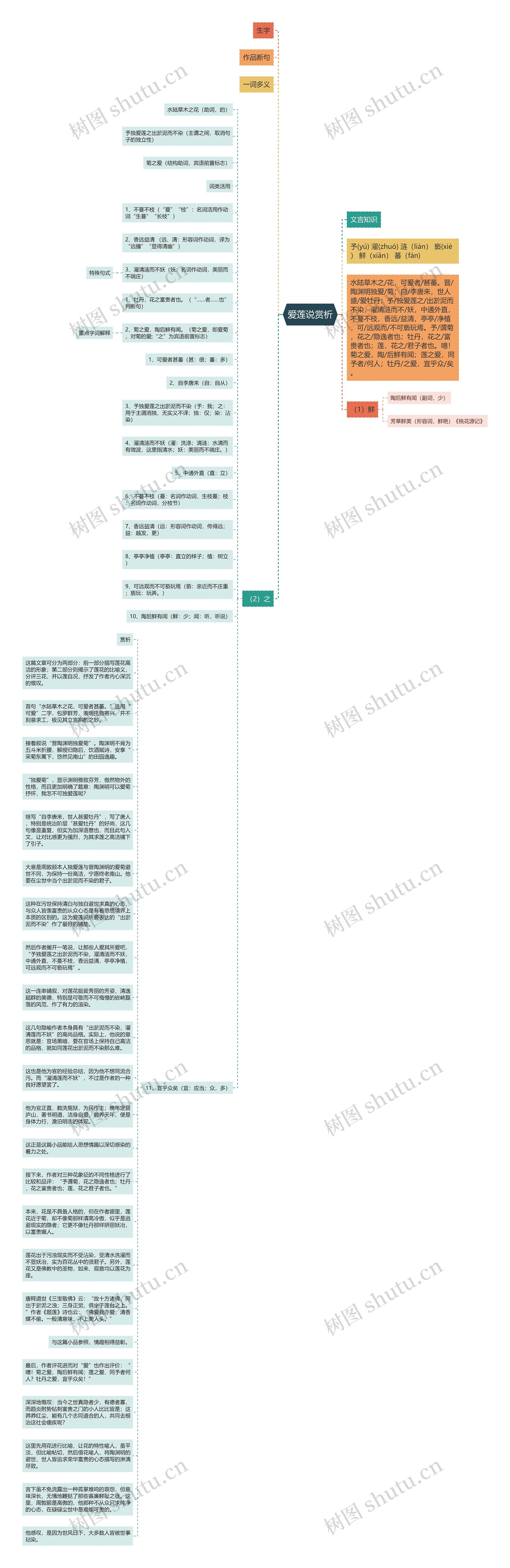 爱莲说赏析思维导图