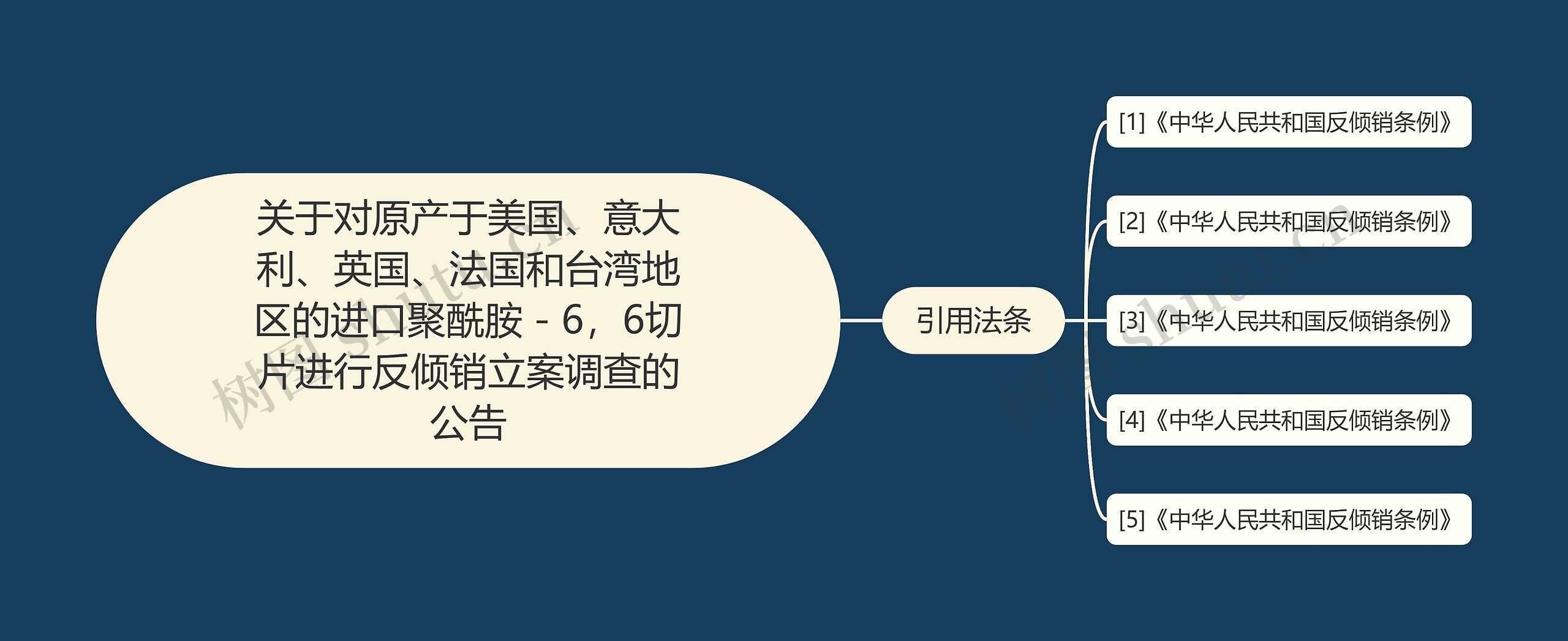 关于对原产于美国、意大利、英国、法国和台湾地区的进口聚酰胺－6，6切片进行反倾销立案调查的公告思维导图