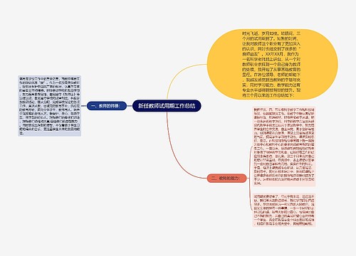 新任教师试用期工作总结