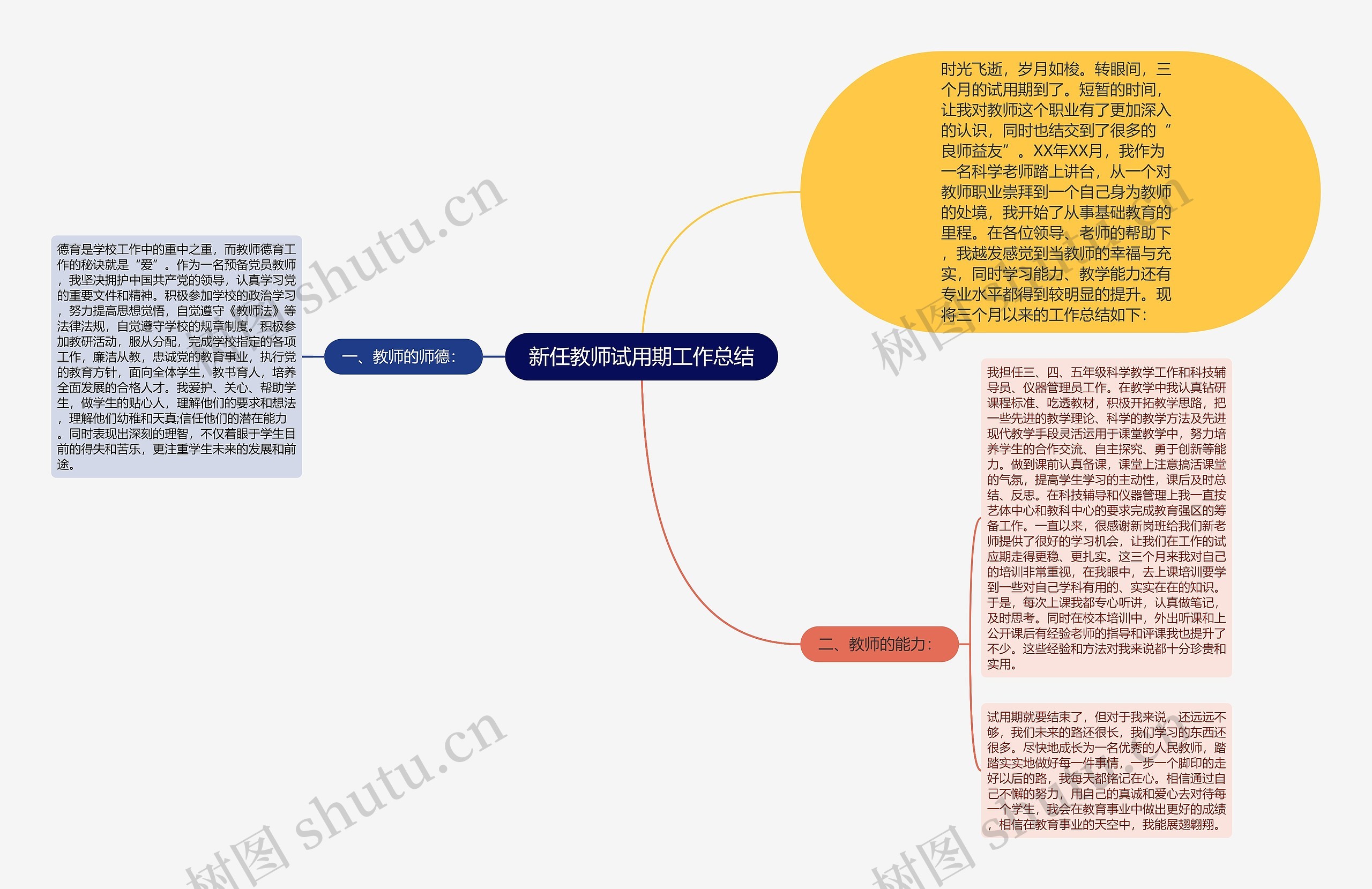 新任教师试用期工作总结思维导图