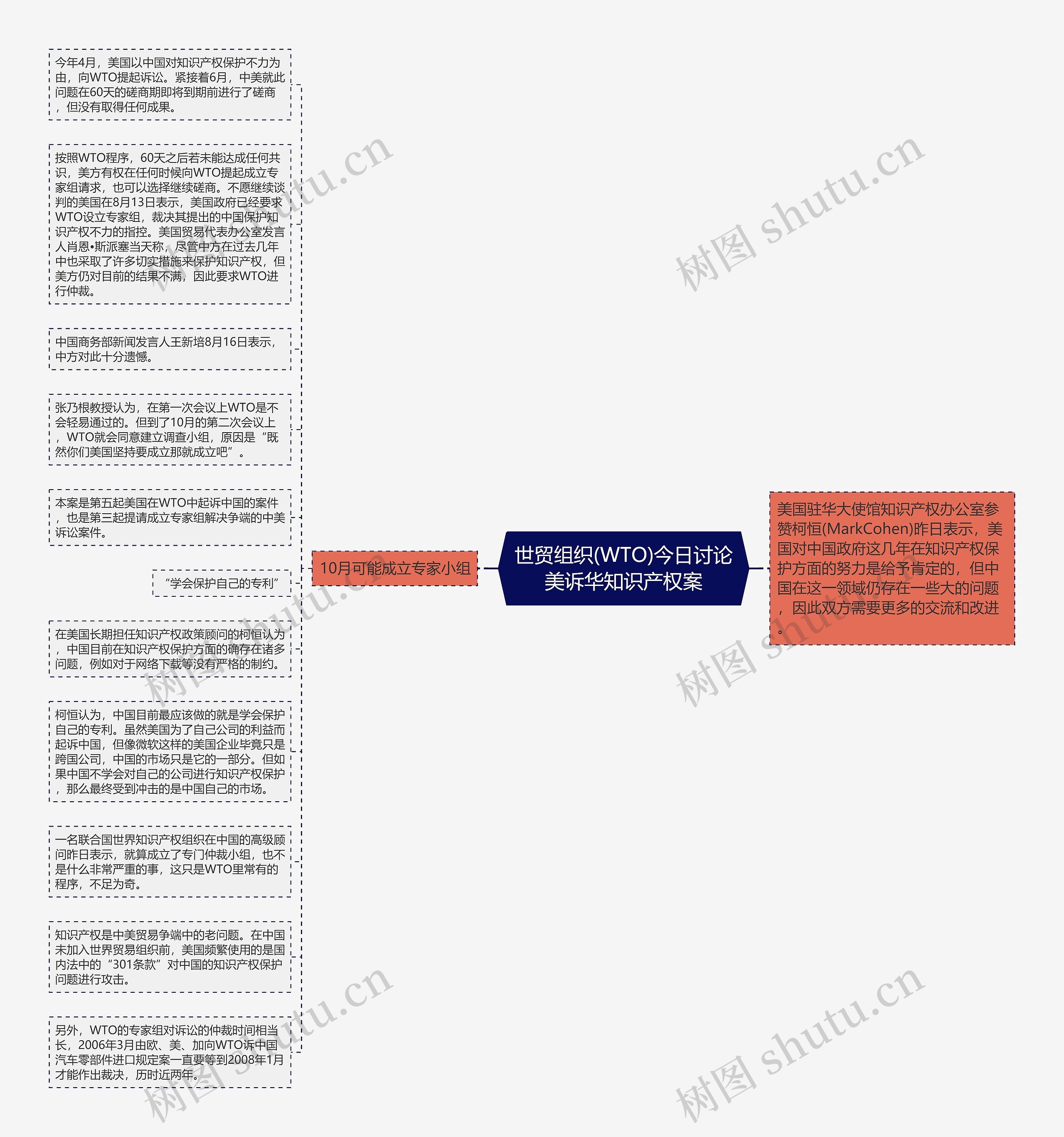 世贸组织(WTO)今日讨论美诉华知识产权案思维导图