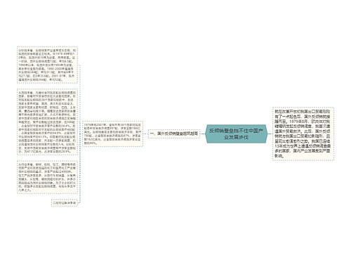 反倾销壁垒挡不住中国产业发展步伐