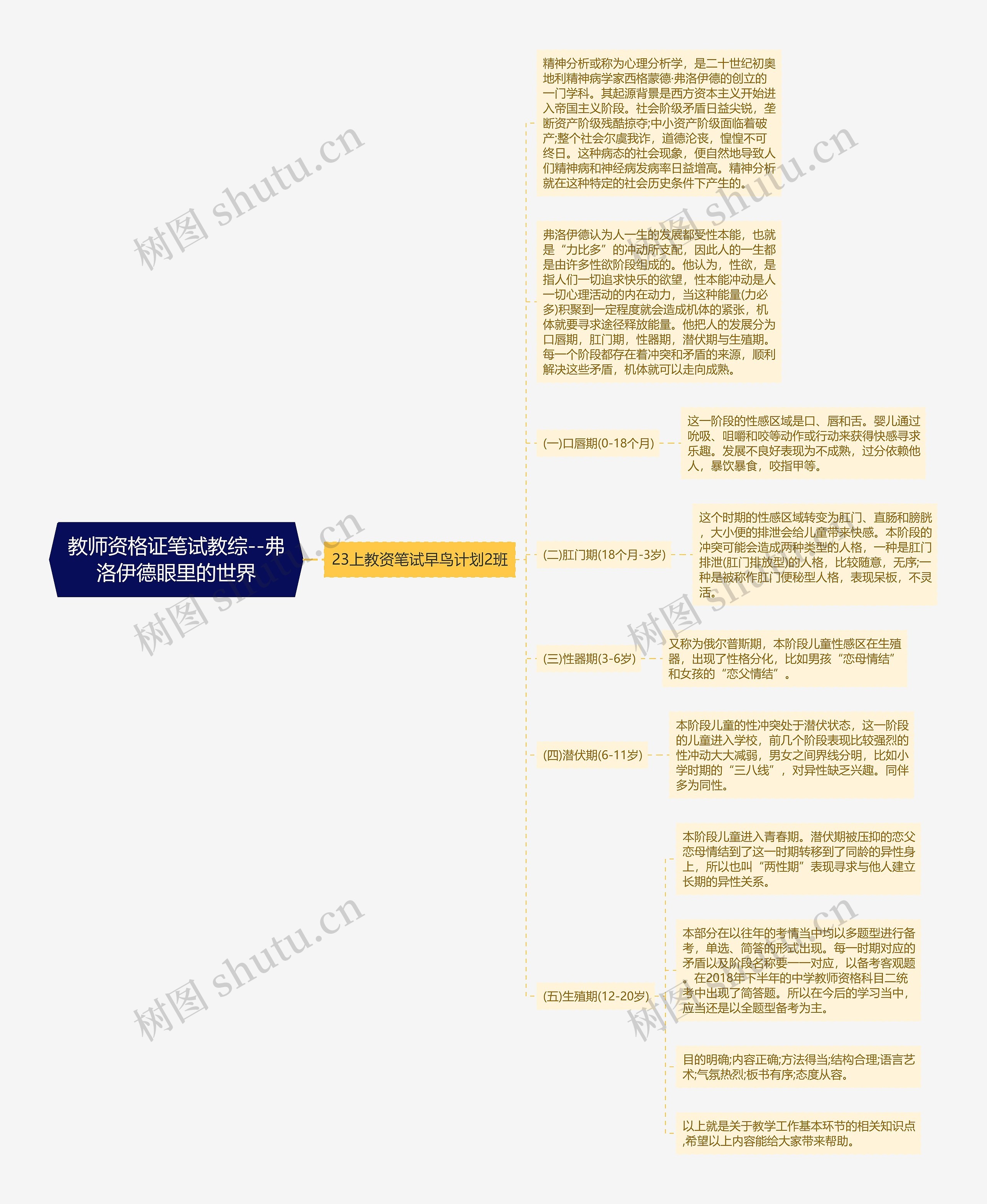 教师资格证笔试教综--弗洛伊德眼里的世界思维导图