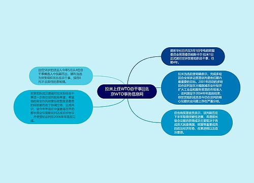 拉米上任WTO总干事|||北京WTO事务信息网