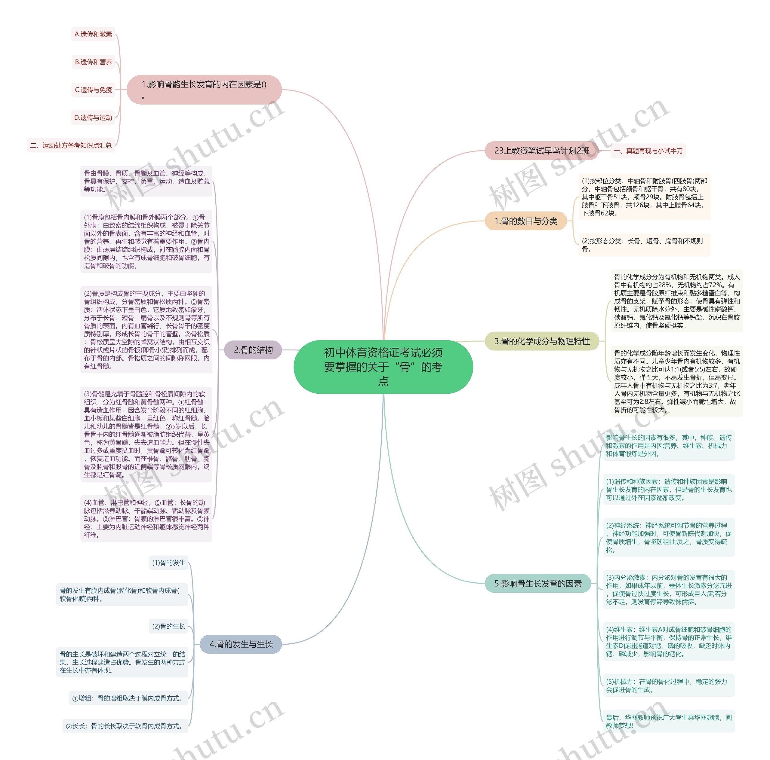 初中体育资格证考试必须要掌握的关于“骨”的考点思维导图