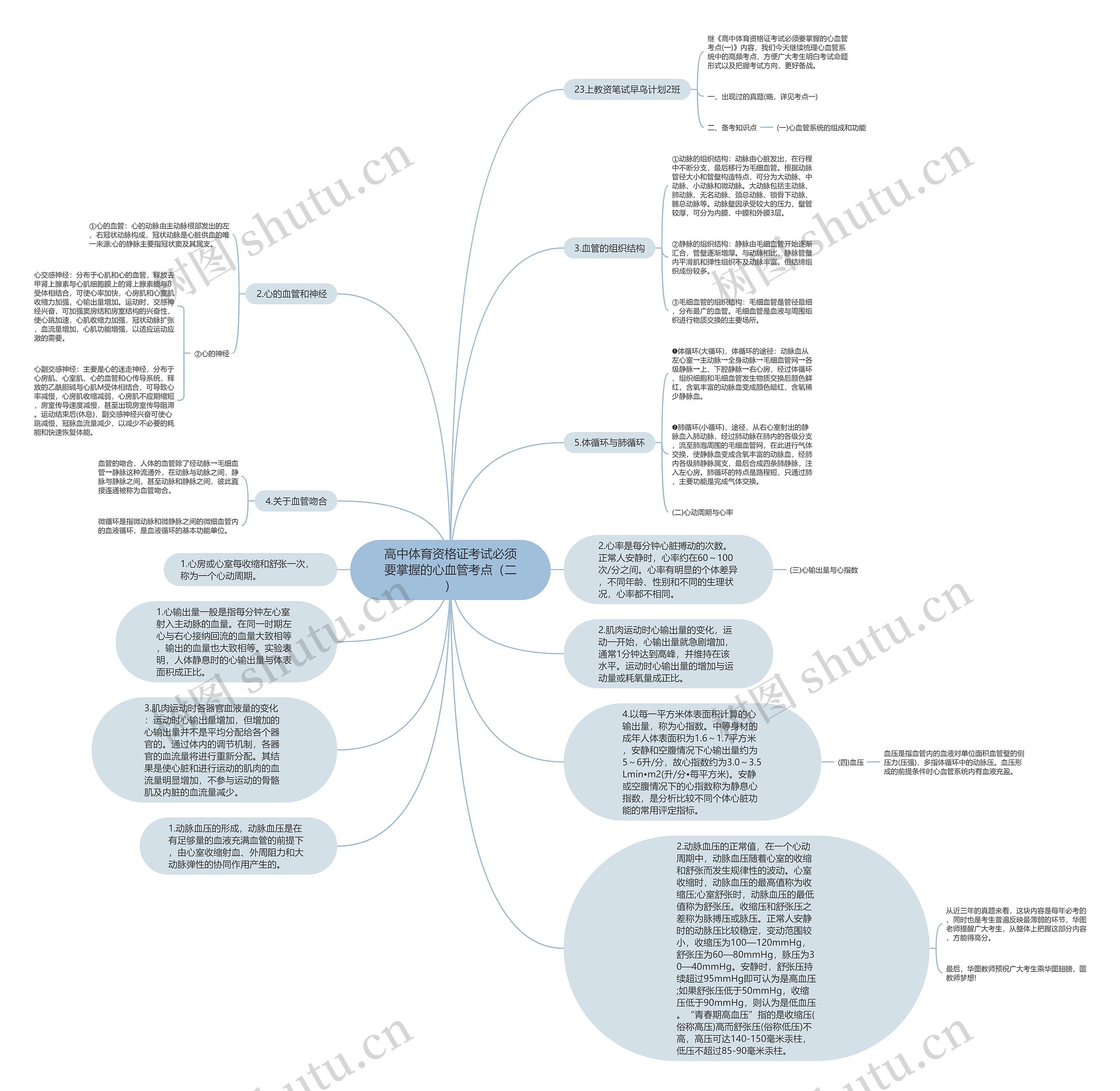 高中体育资格证考试必须要掌握的心血管考点（二）思维导图