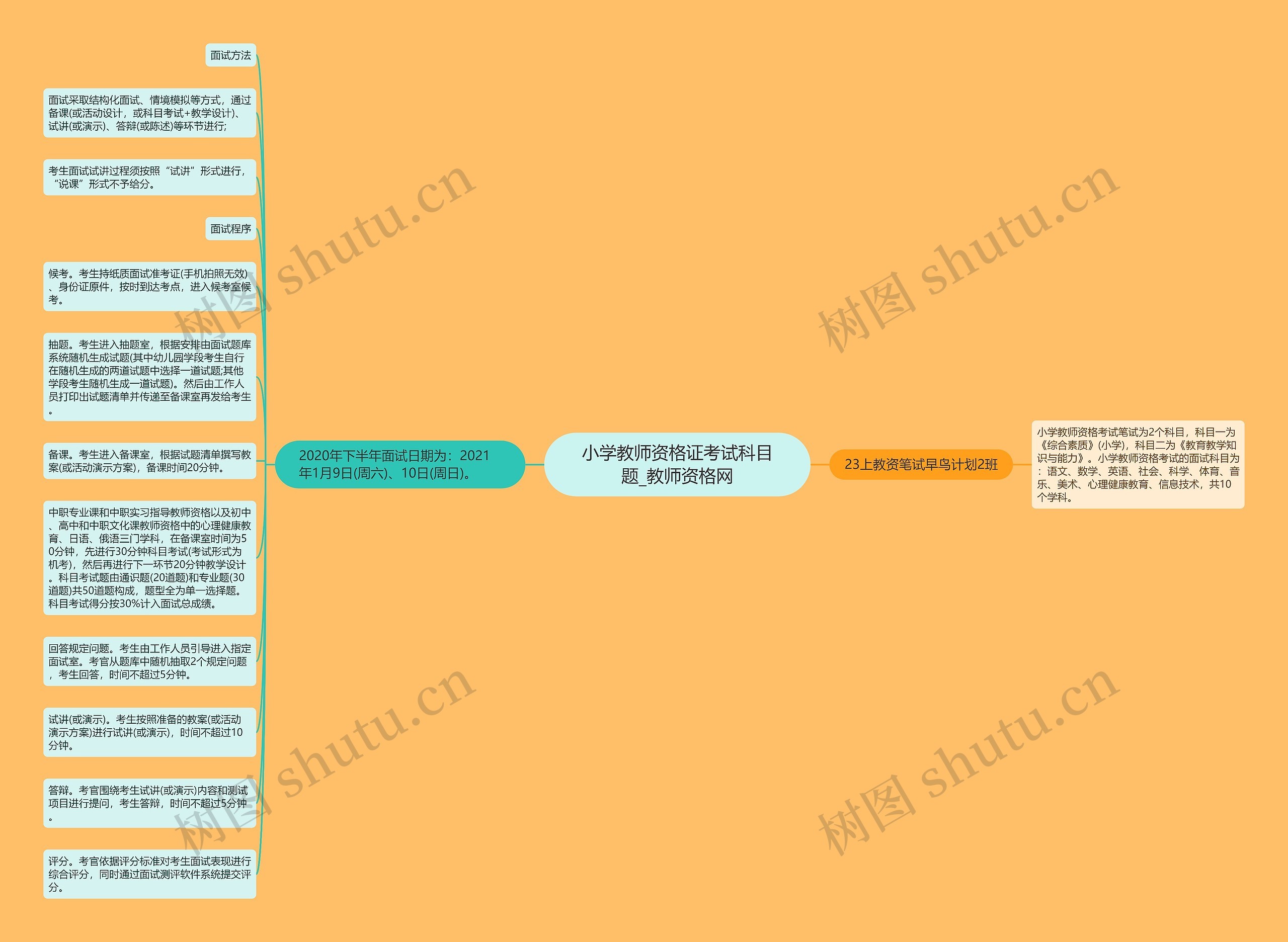 小学教师资格证考试科目题_教师资格网思维导图