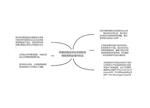 印度尼西亚对土耳其的倾销指责提出强烈抗议