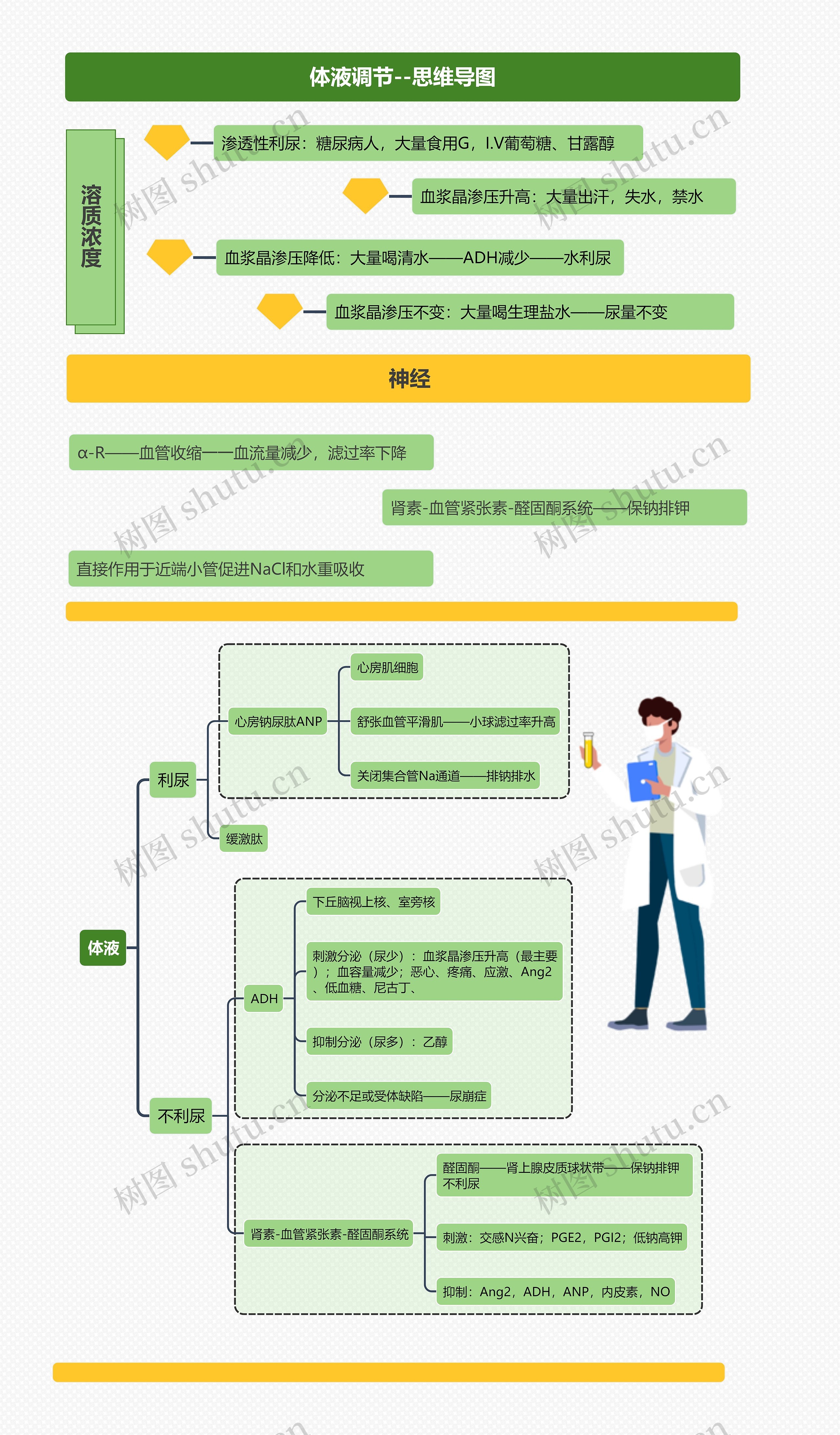 体液调节--思维导图