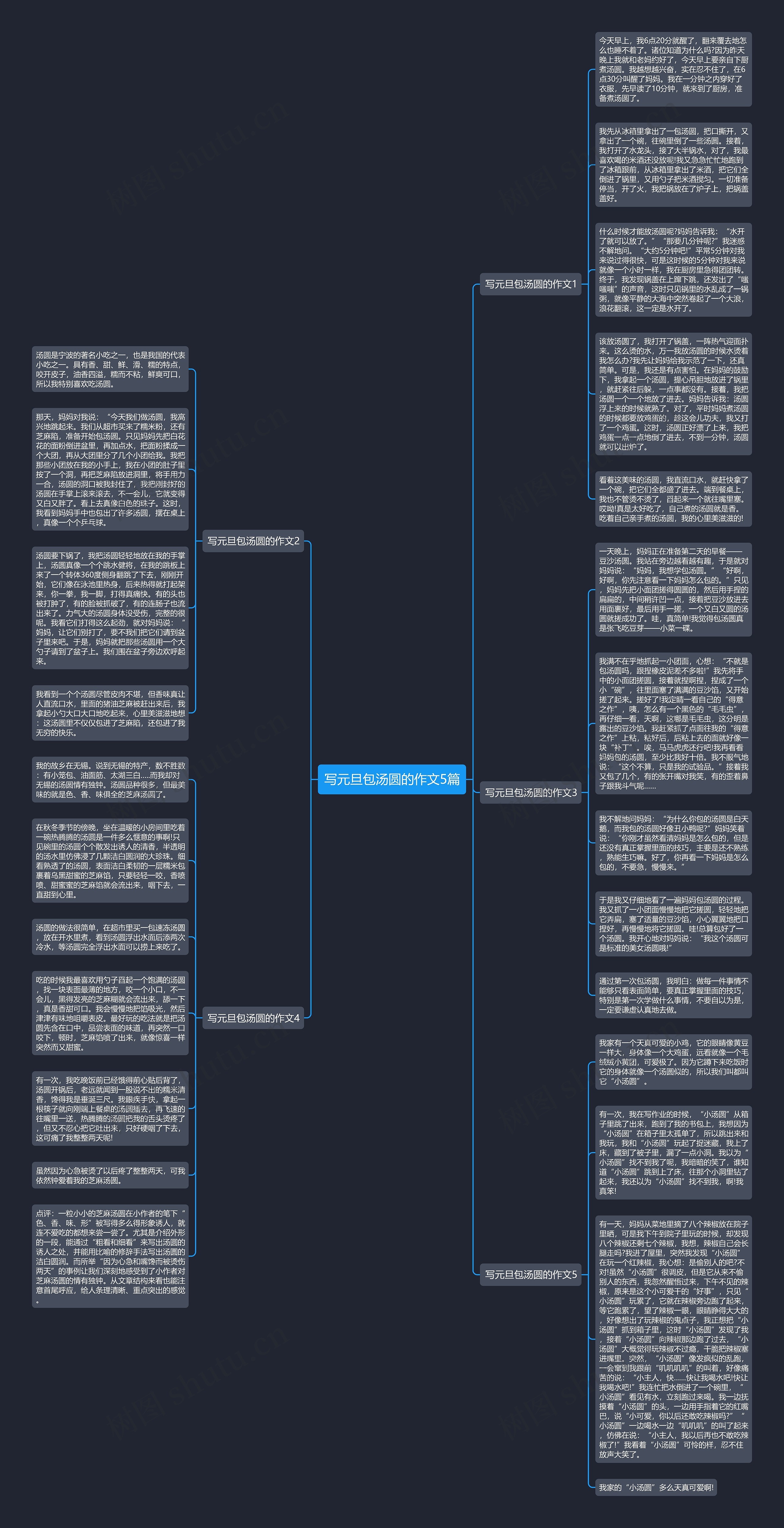 写元旦包汤圆的作文5篇思维导图