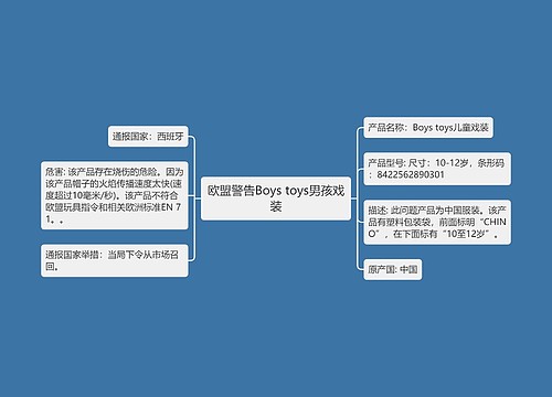 欧盟警告Boys toys男孩戏装思维导图