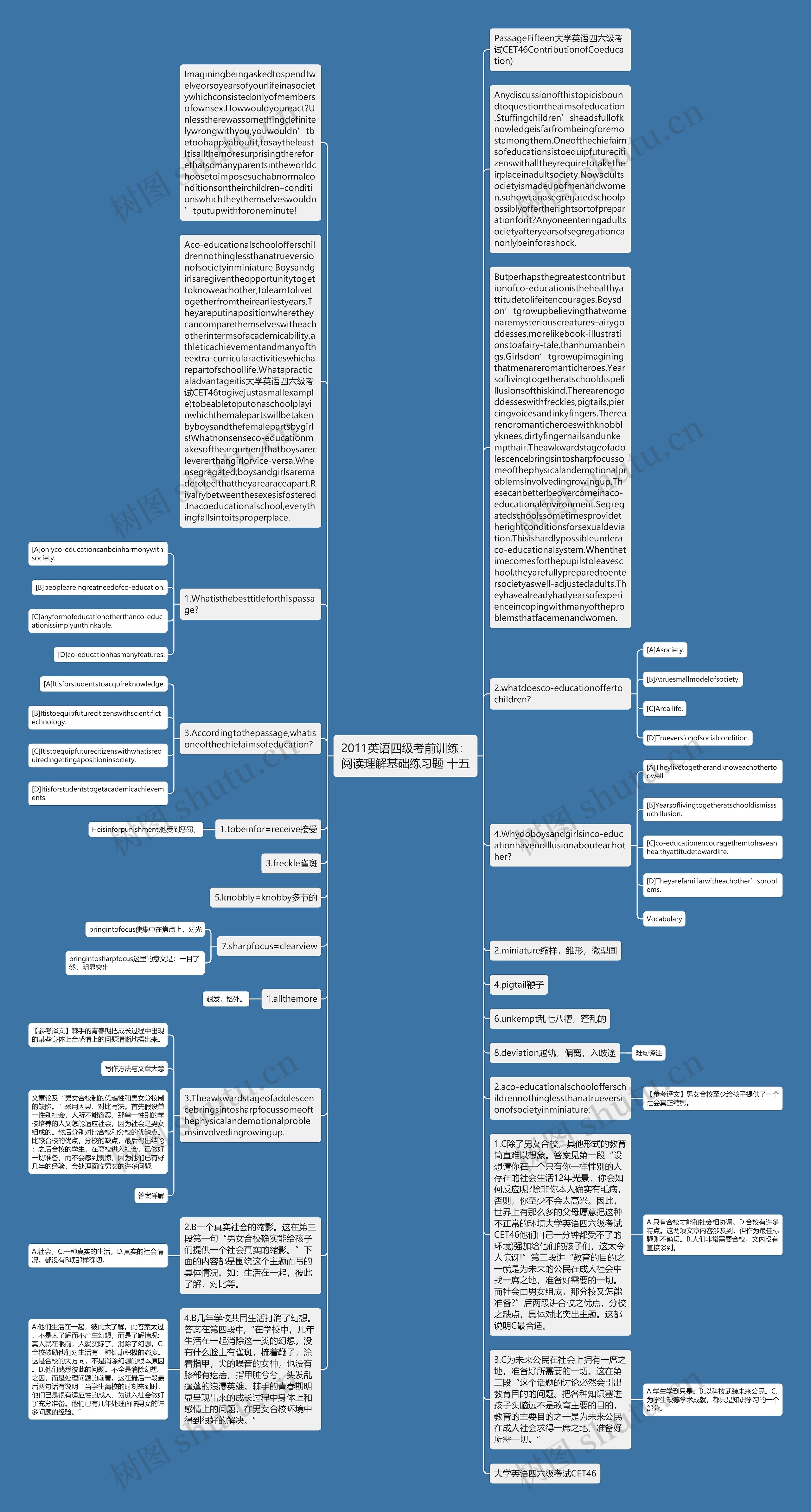 2011英语四级考前训练：阅读理解基础练习题 十五思维导图