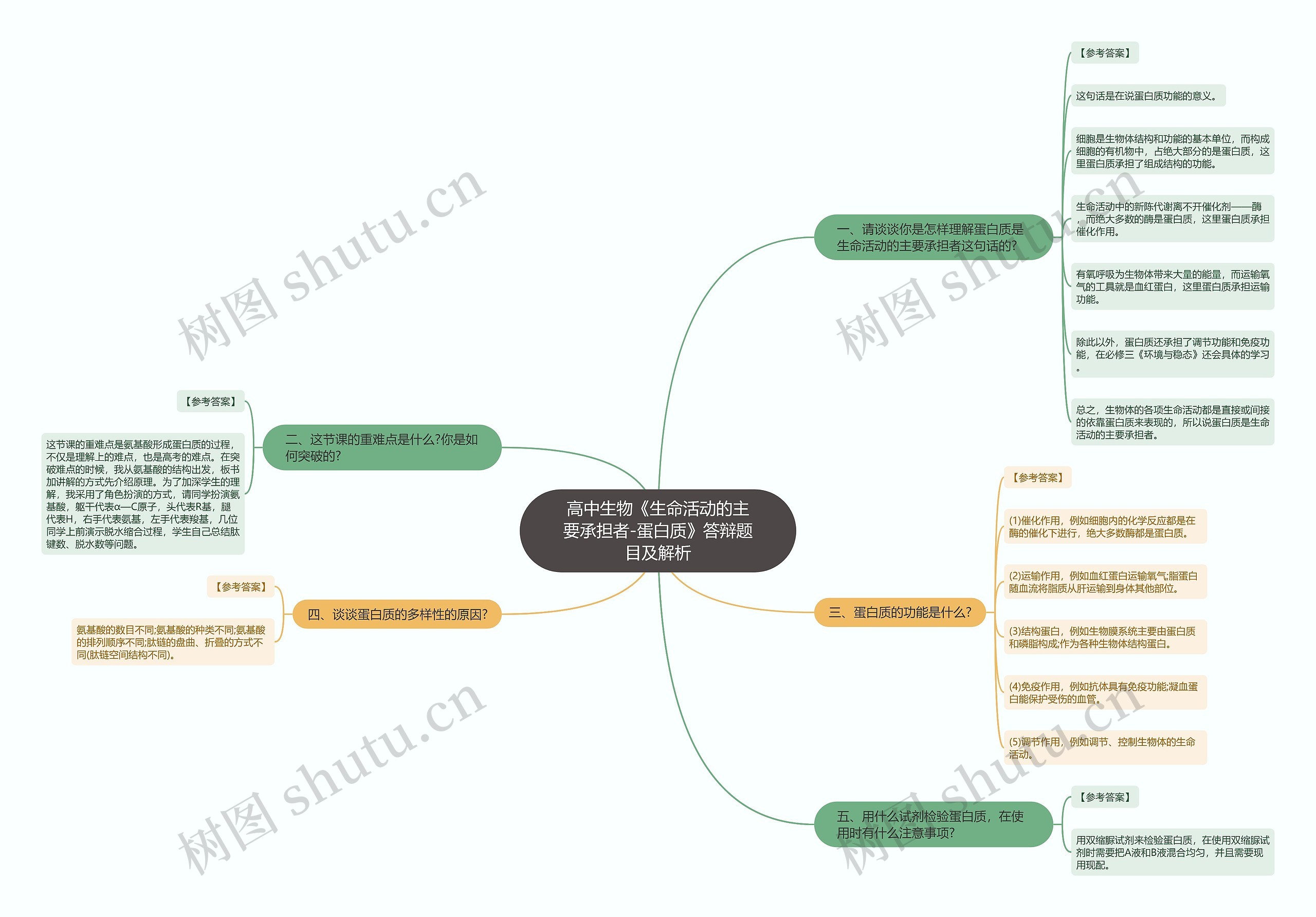 高中生物《生命活动的主要承担者-蛋白质》答辩题目及解析思维导图