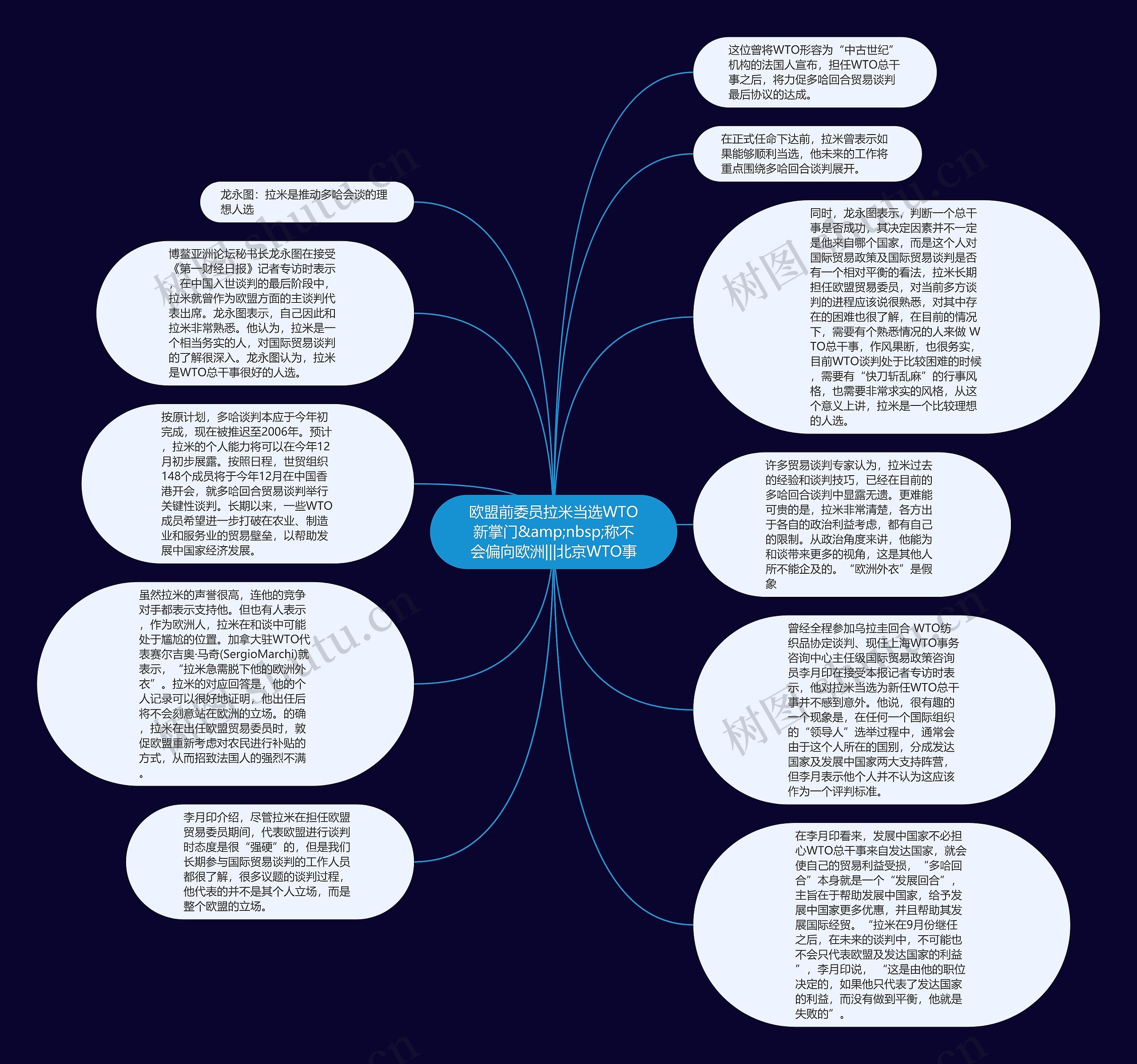 欧盟前委员拉米当选WTO新掌门&amp;nbsp;称不会偏向欧洲|||北京WTO事思维导图