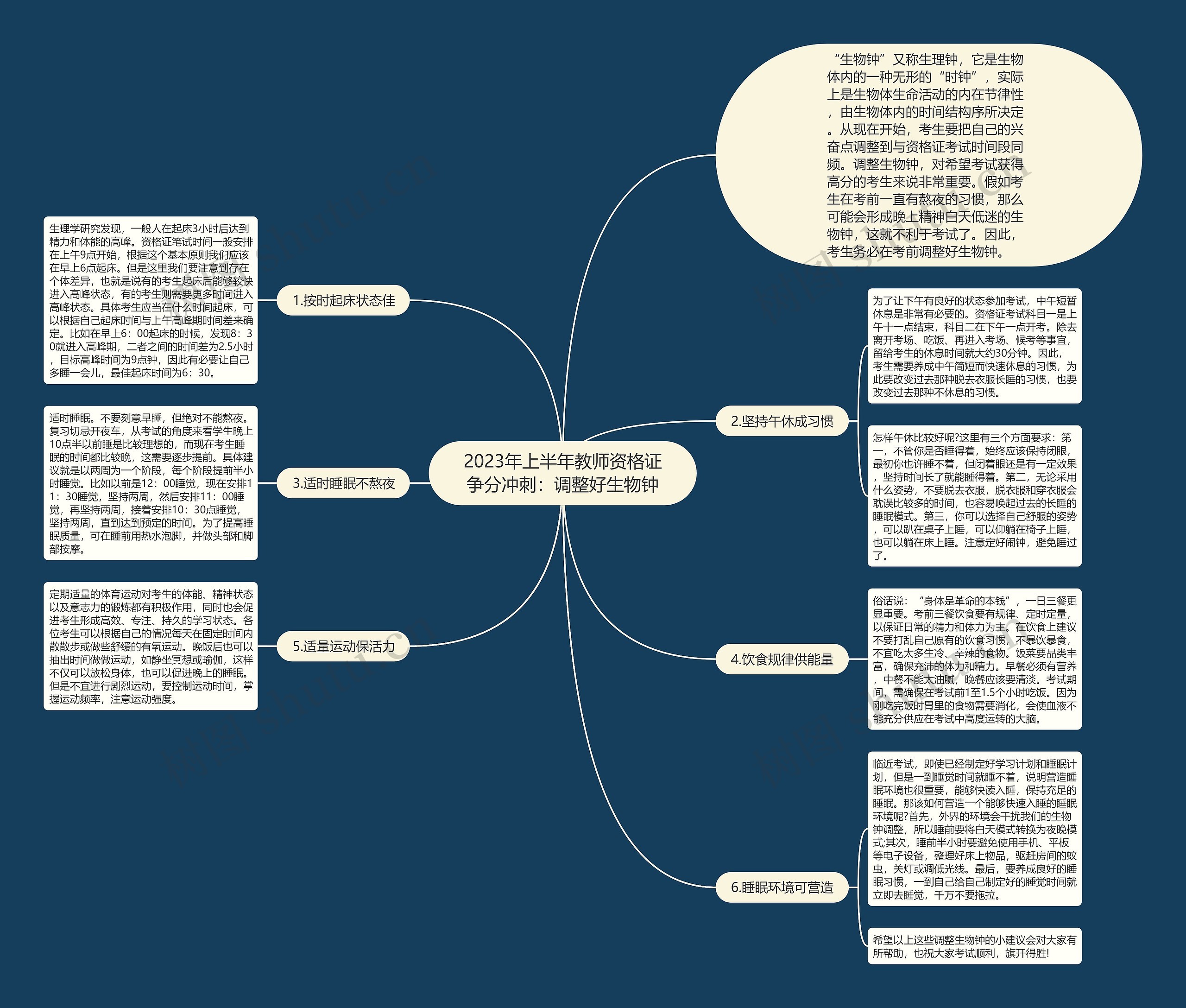 2023年上半年教师资格证争分冲刺：调整好生物钟思维导图