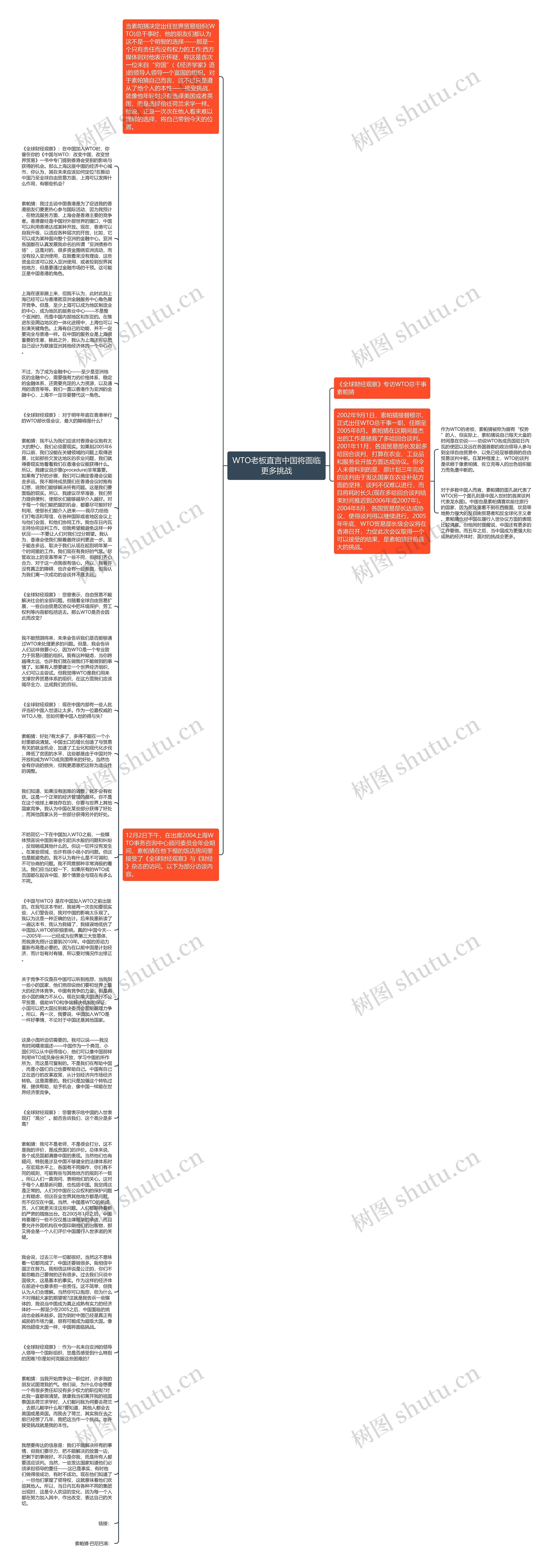 WTO老板直言中国将面临更多挑战思维导图