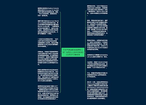 天然气争端影响俄罗斯入世？乌克兰入世步伐渐进|||北京WTO事务信