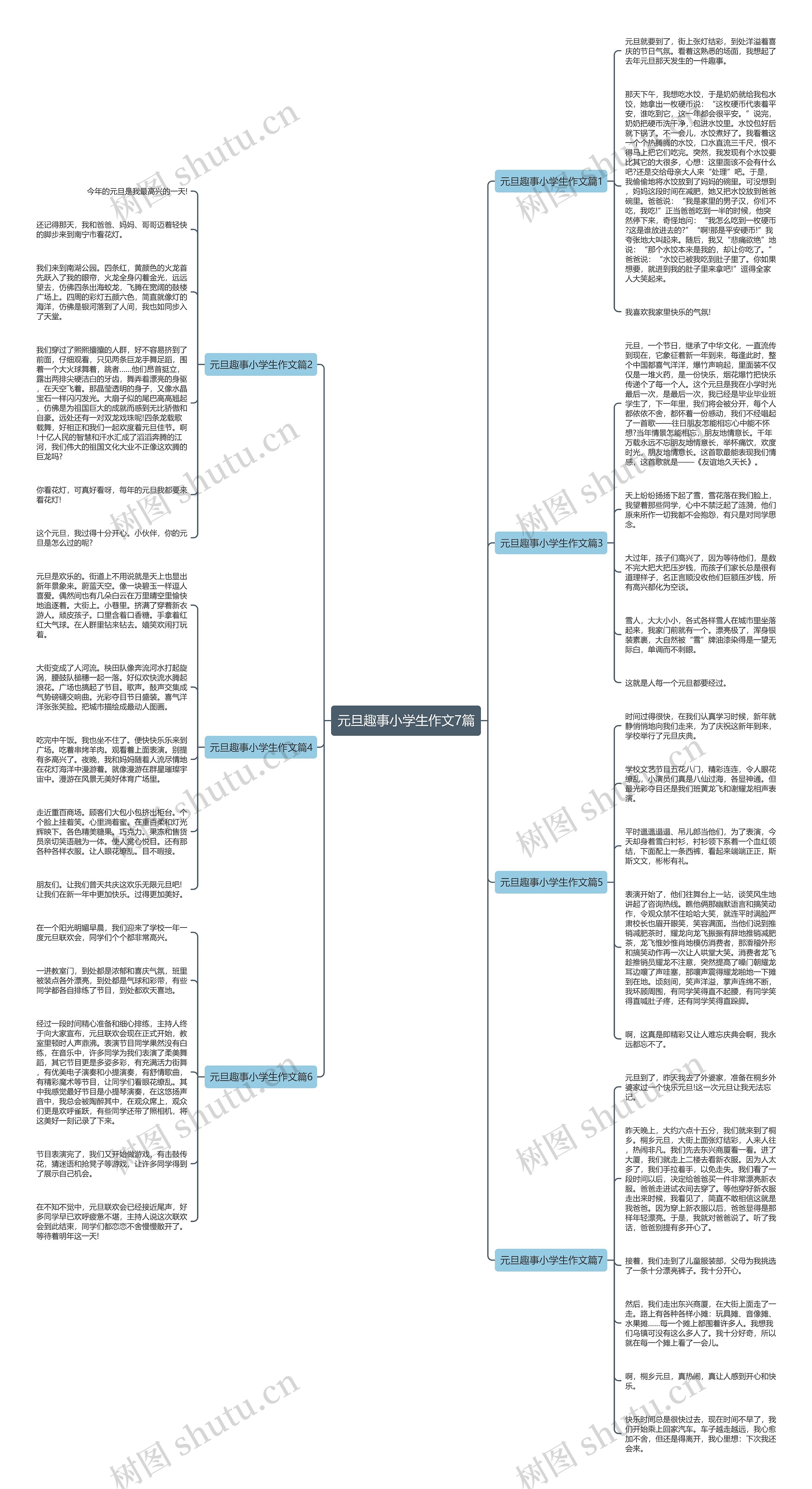 元旦趣事小学生作文7篇思维导图