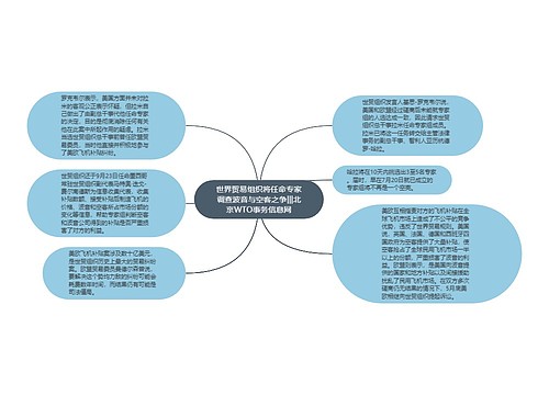 世界贸易组织将任命专家调查波音与空客之争|||北京WTO事务信息网