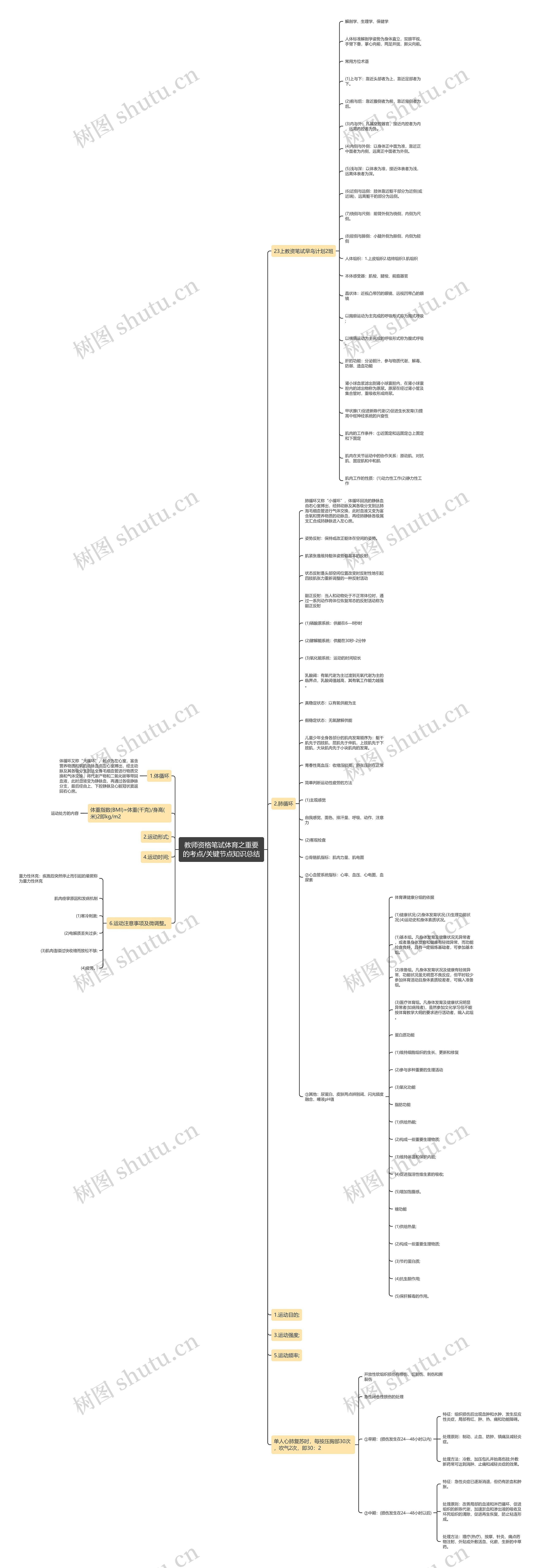 教师资格笔试体育之重要的考点/关键节点知识总结思维导图