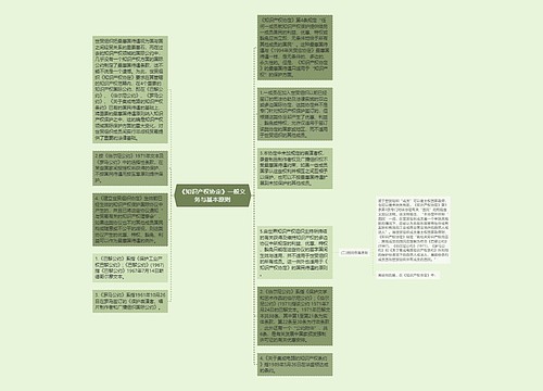 《知识产权协定》一般义务与基本原则