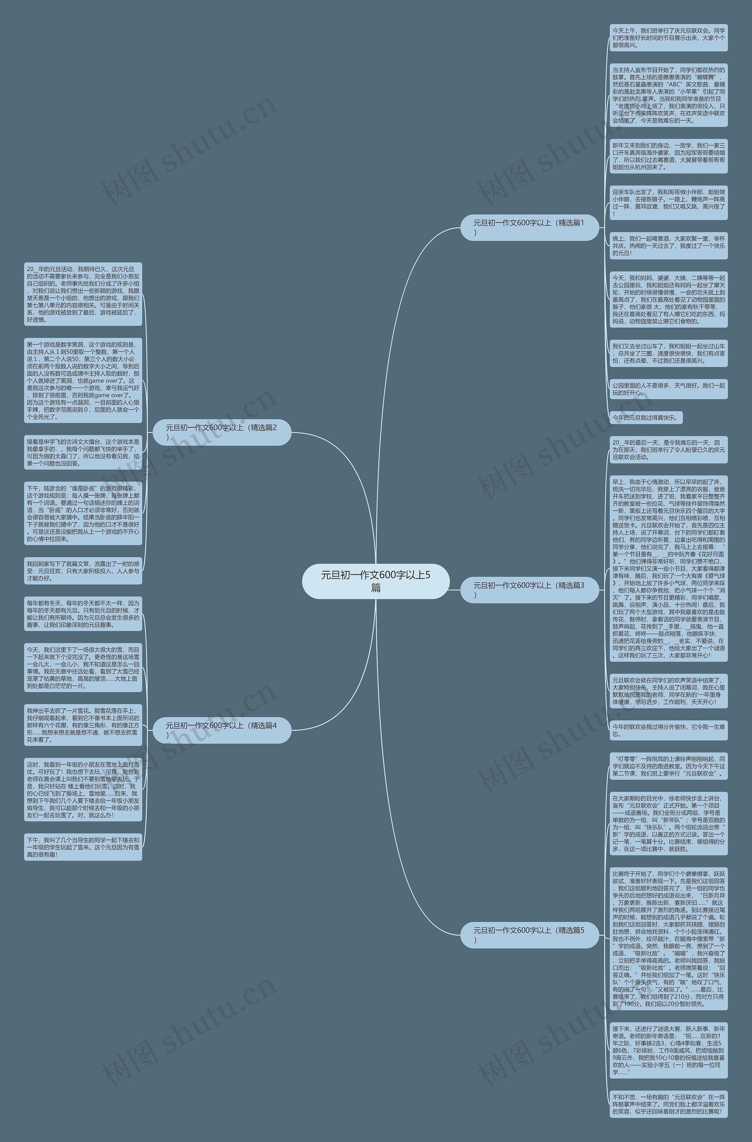 元旦初一作文600字以上5篇思维导图