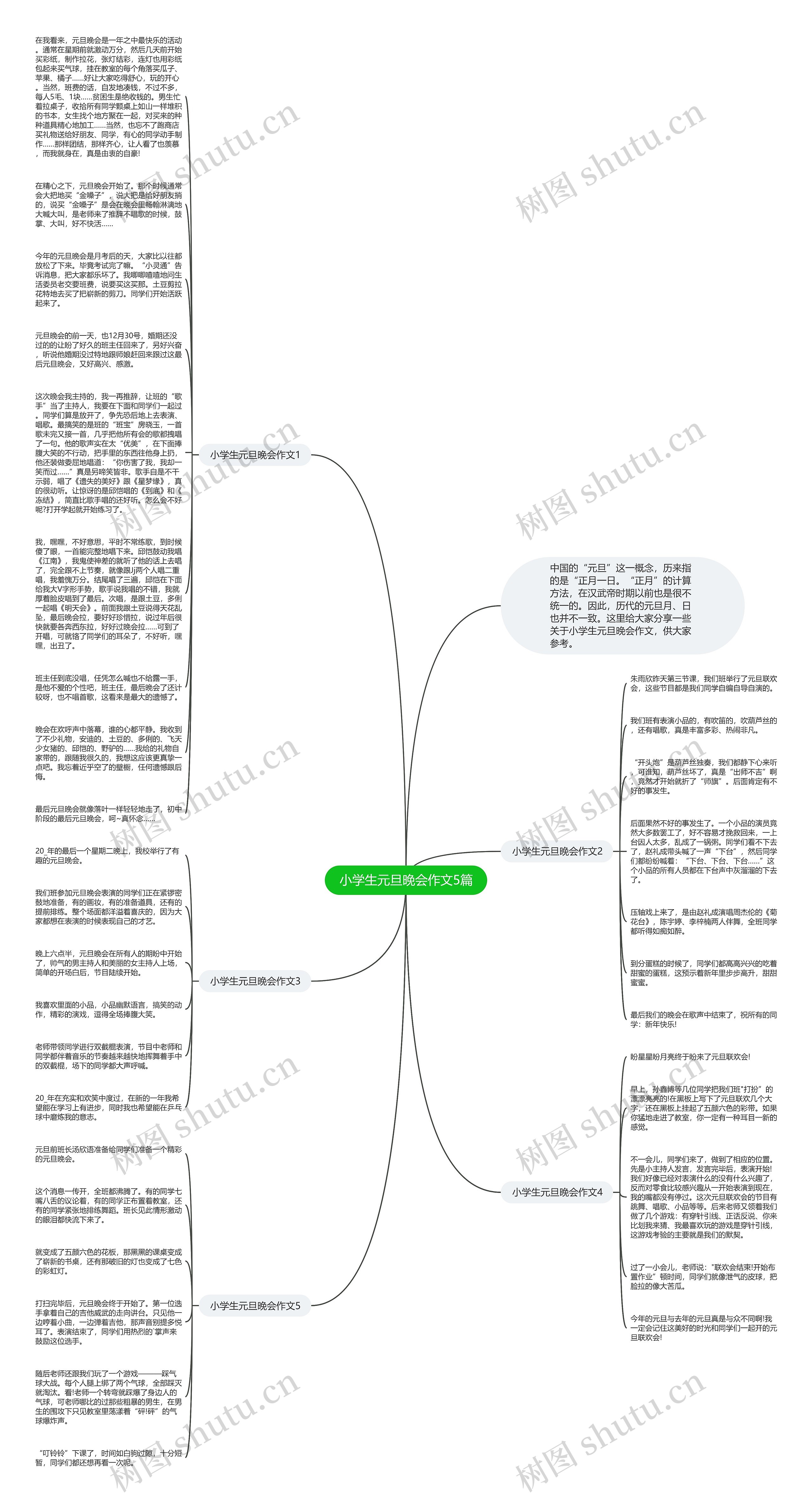 小学生元旦晚会作文5篇思维导图