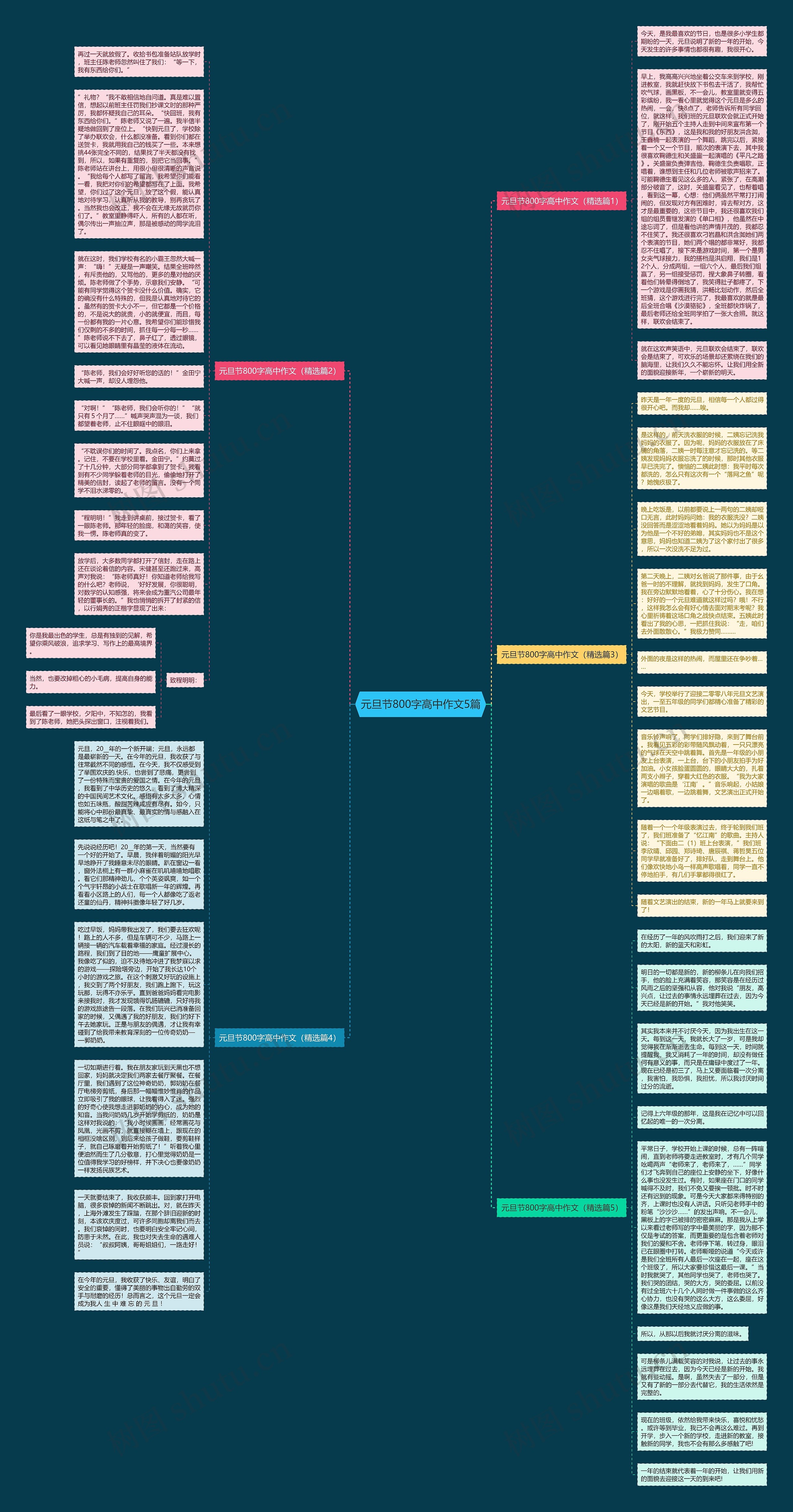 元旦节800字高中作文5篇思维导图