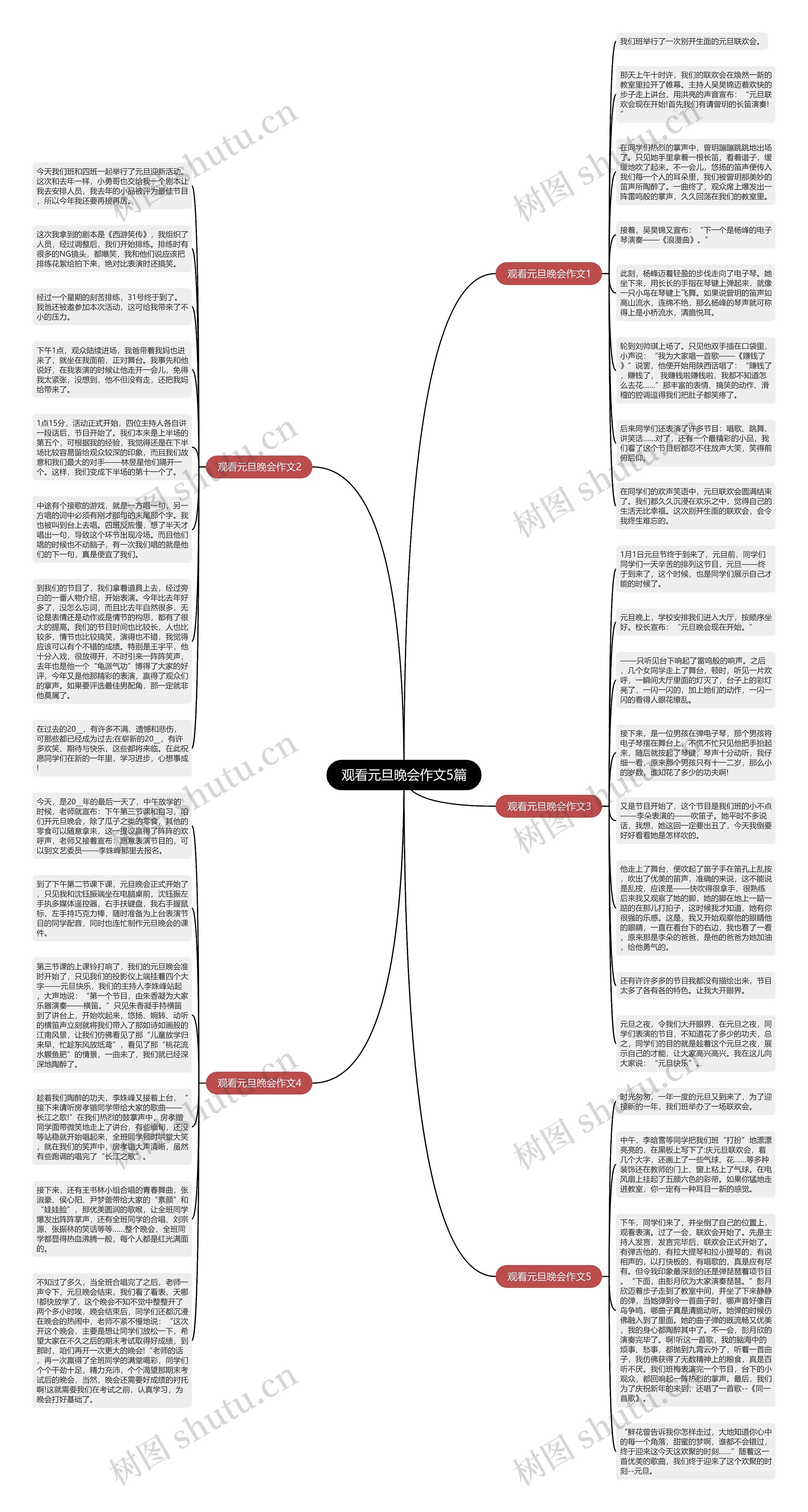 观看元旦晚会作文5篇思维导图