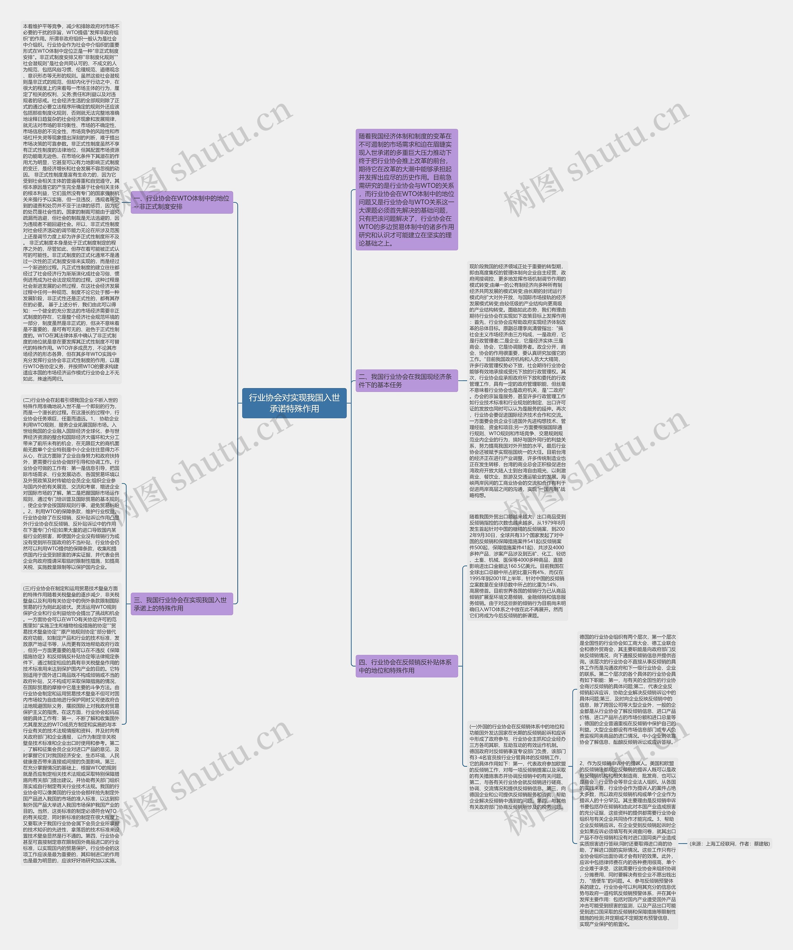 行业协会对实现我国入世承诺特殊作用 行业协会对实现我国入世承诺特殊作用