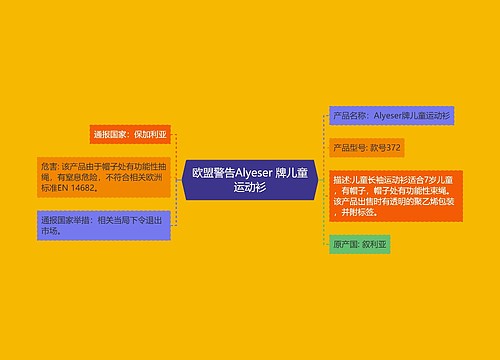 欧盟警告Alyeser 牌儿童运动衫