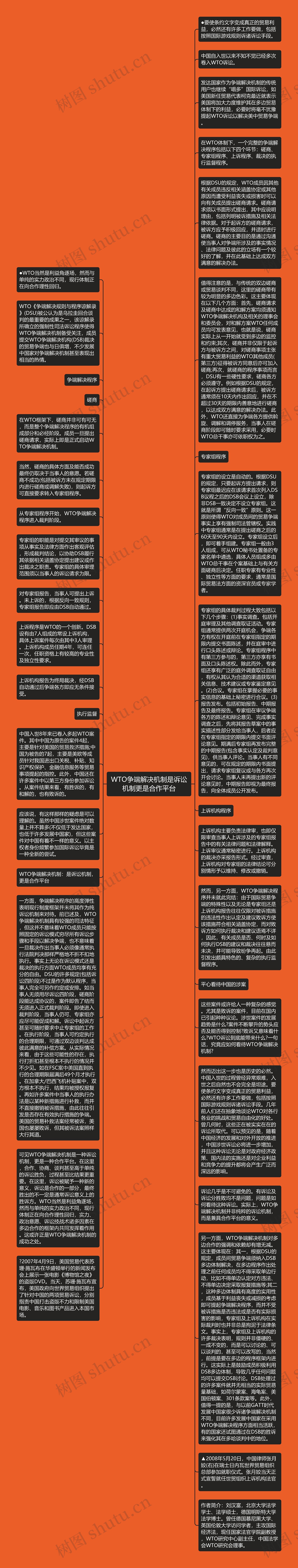 WTO争端解决机制是诉讼机制更是合作平台思维导图