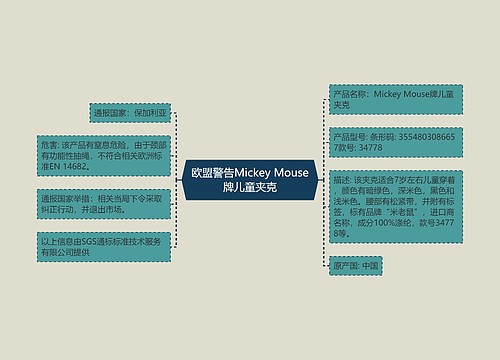 欧盟警告Mickey Mouse牌儿童夹克