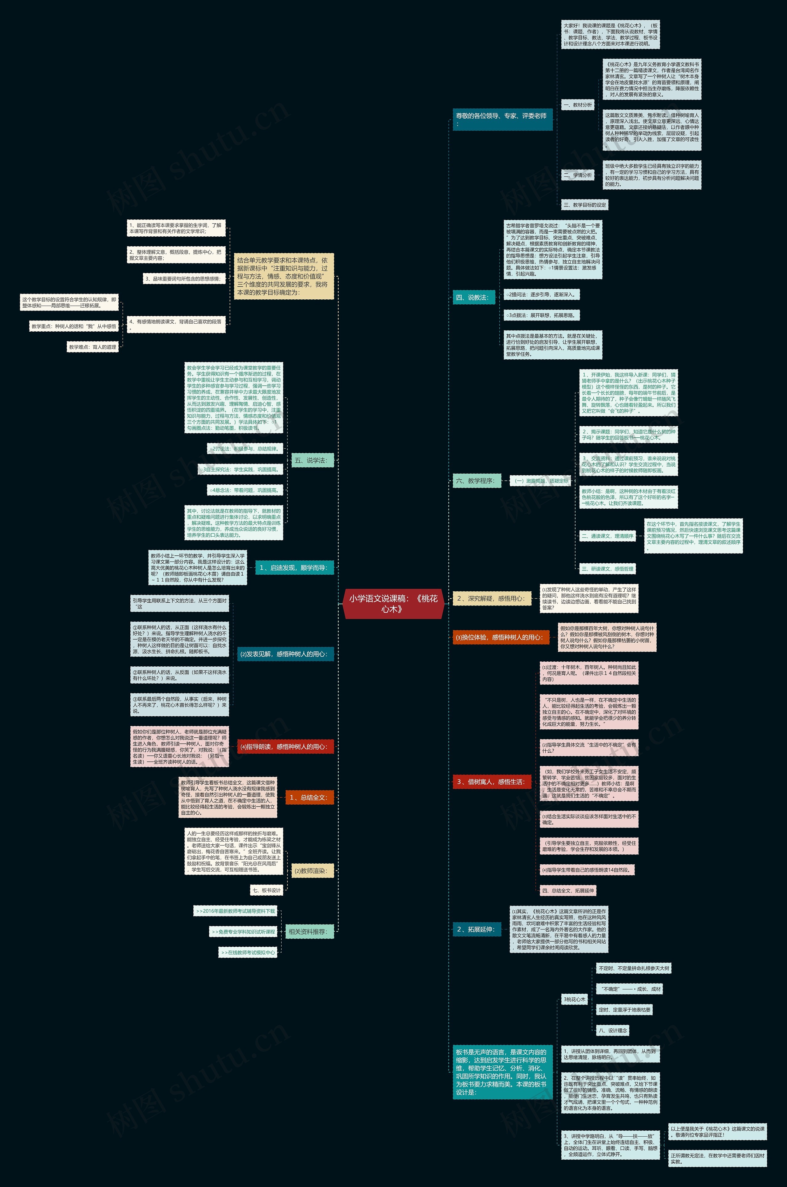 小学语文说课稿：《桃花心木》思维导图