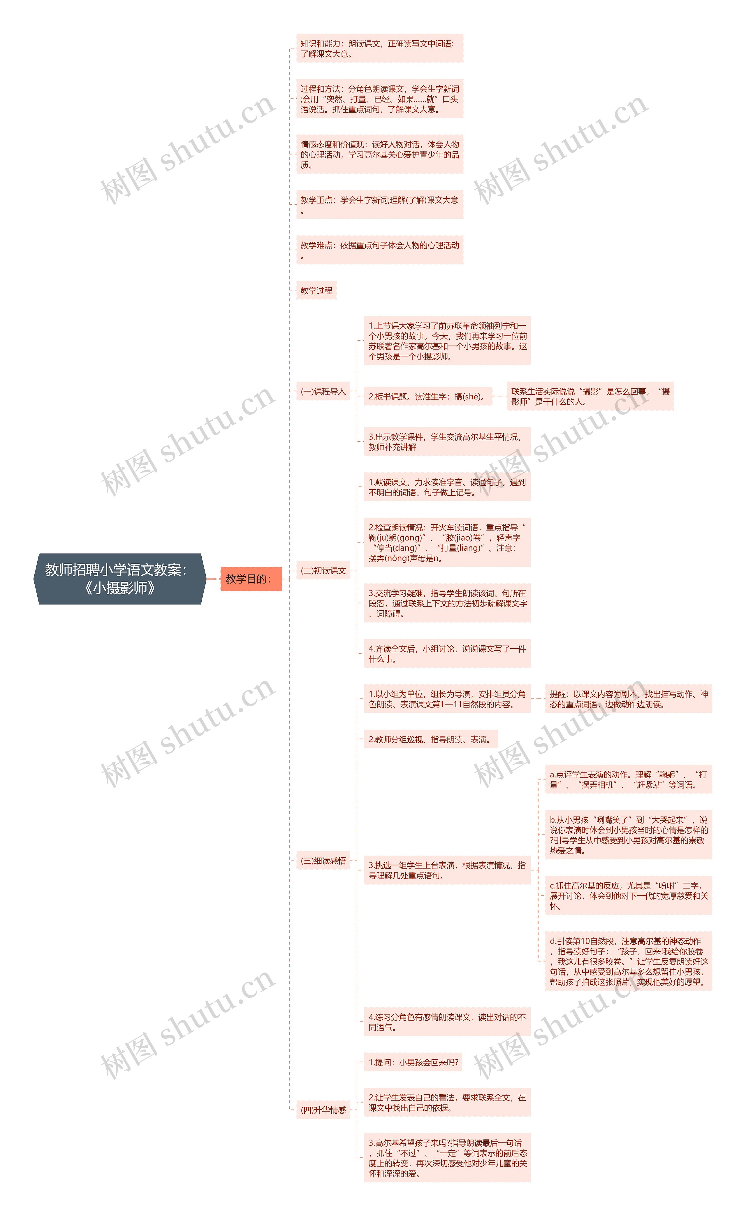 教师招聘小学语文教案：《小摄影师》思维导图