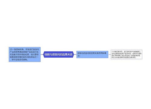 倾销与损害间的因果关系