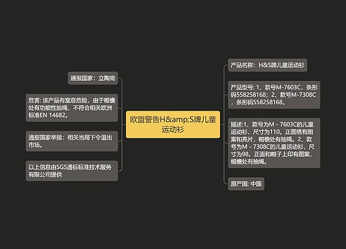 欧盟警告H&amp;S牌儿童运动衫